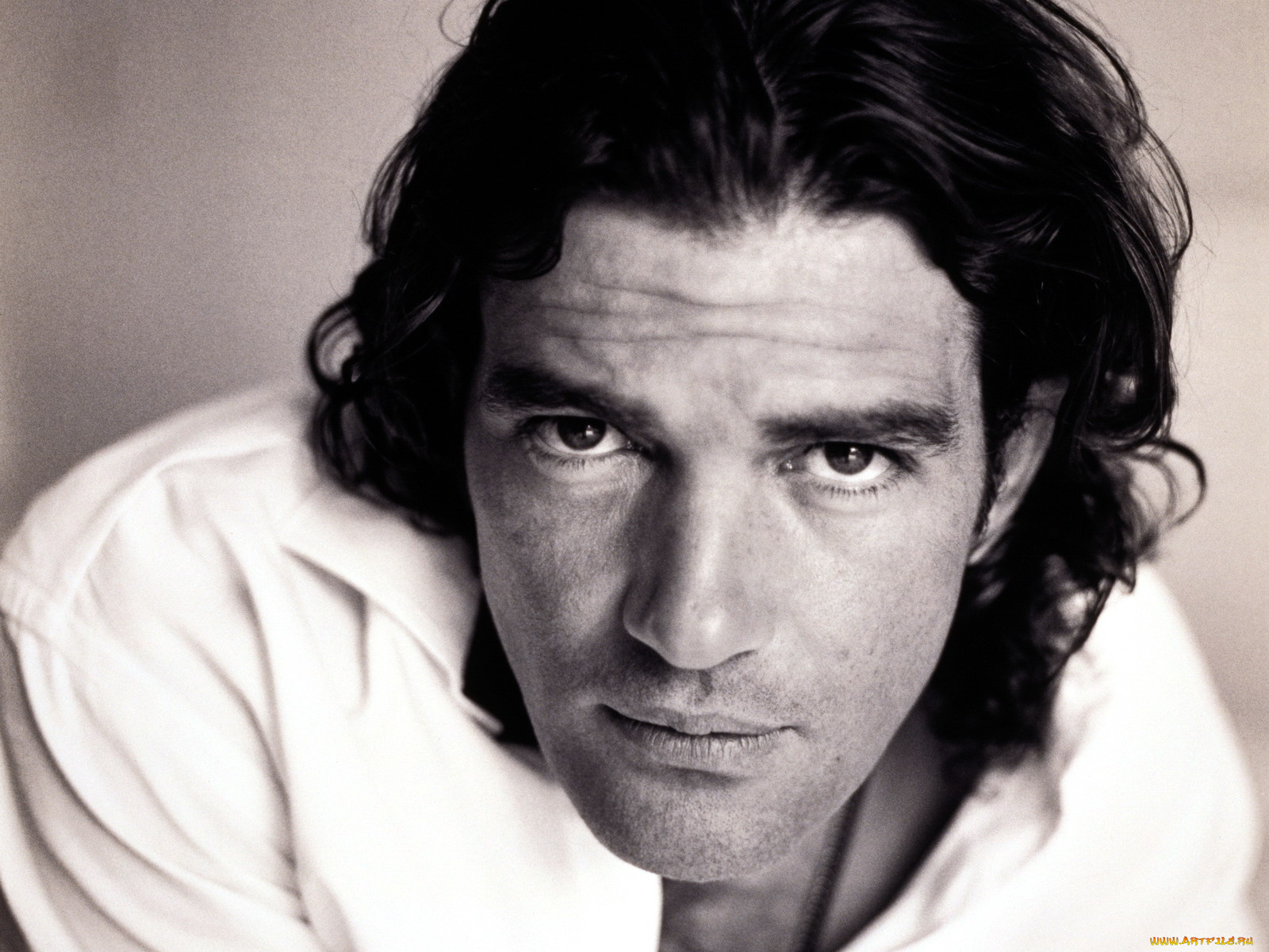 antonio, banderas, мужчины