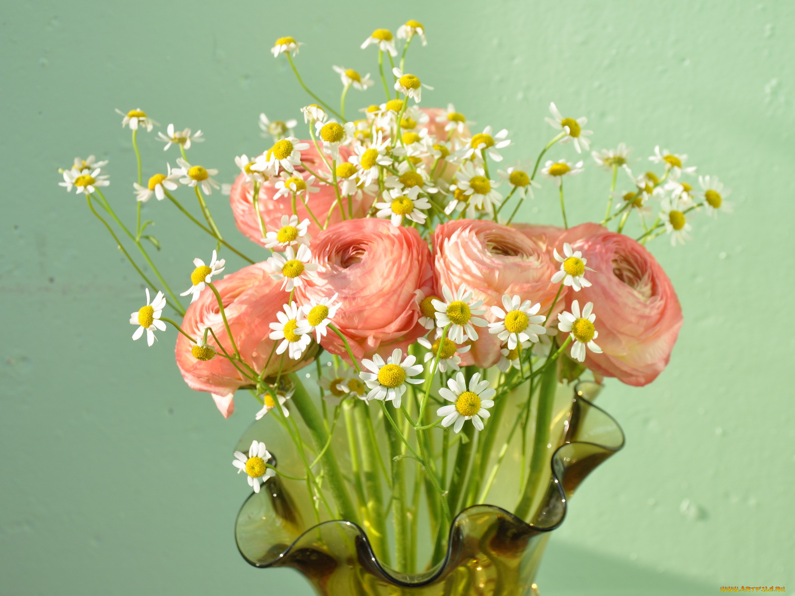 лютики, цветы, разные, вместе