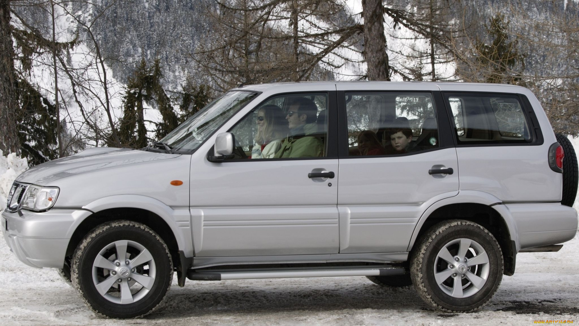 автомобили, nissan, datsun