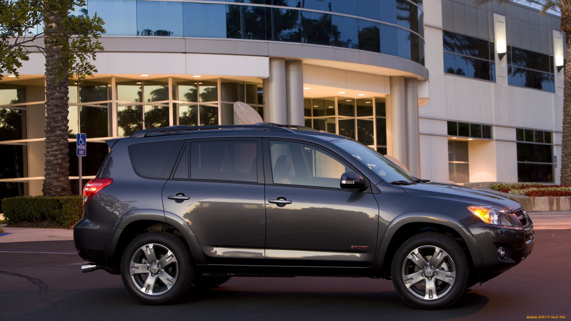 автомобили, toyota, rav