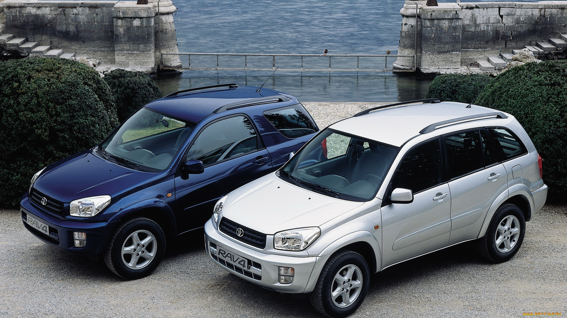 автомобили, toyota, rav