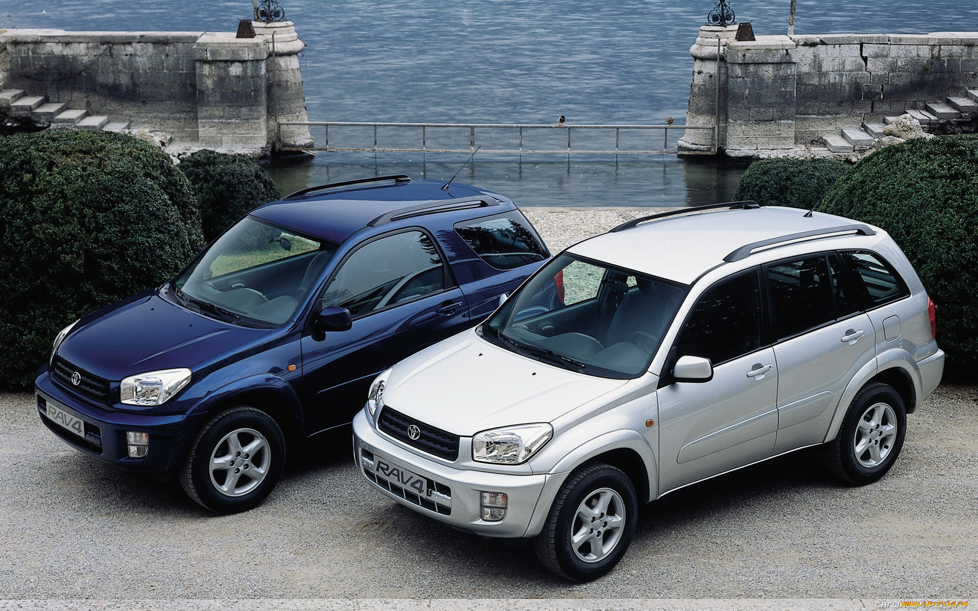 автомобили, toyota, rav