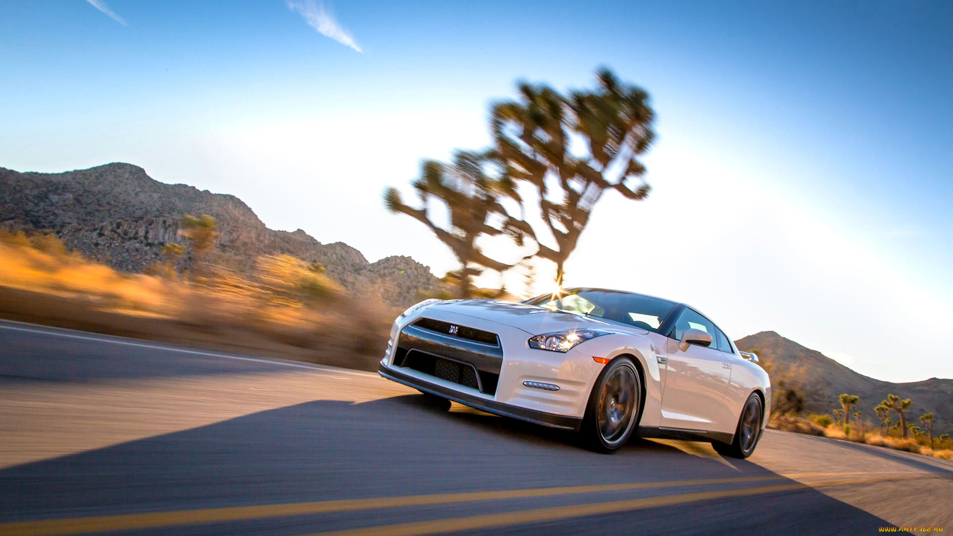 nissan, gt, автомобили, datsun, Япония, motor, co, ltd