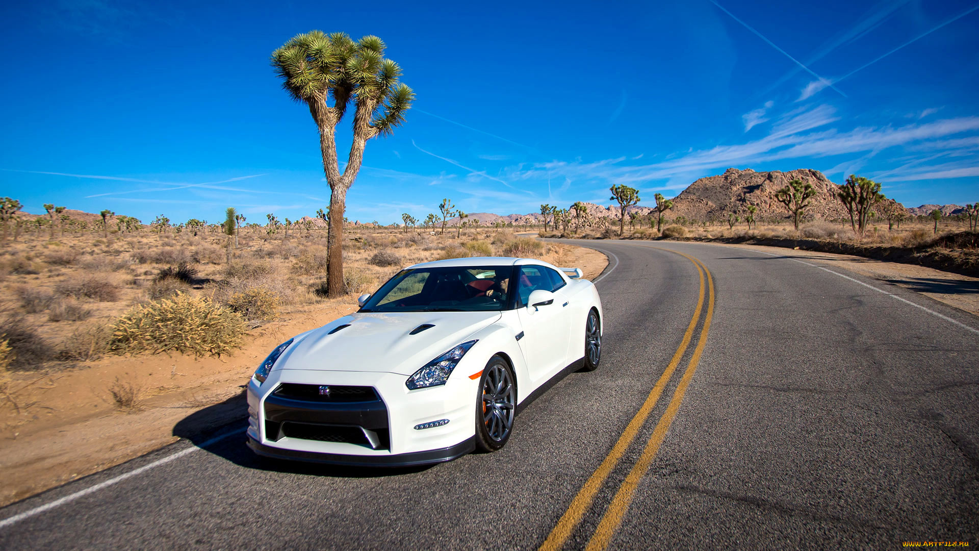 nissan, gt, автомобили, datsun, Япония, motor, co, ltd, nnissan