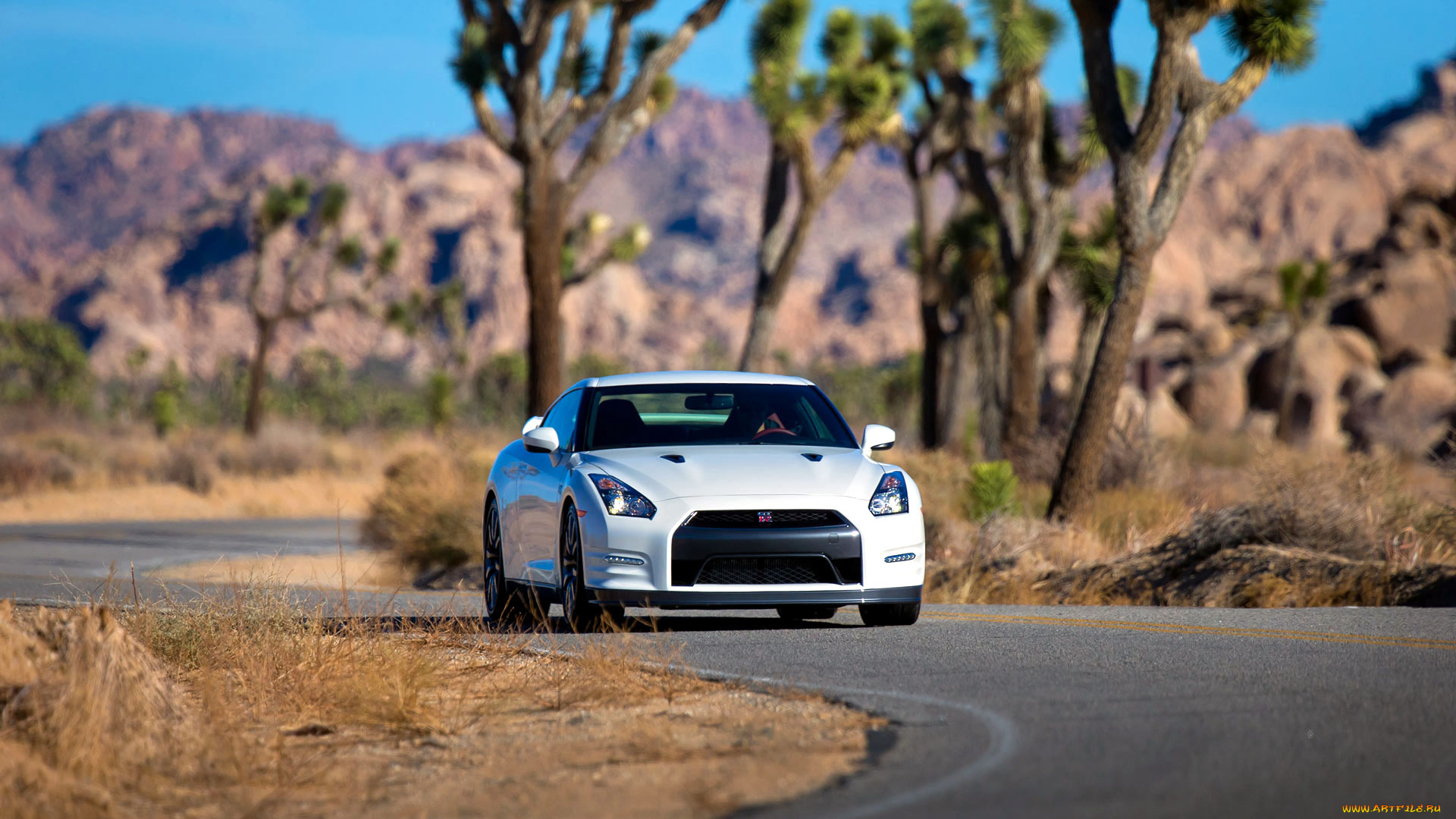 nissan, gt, автомобили, datsun, Япония, motor, co, ltd