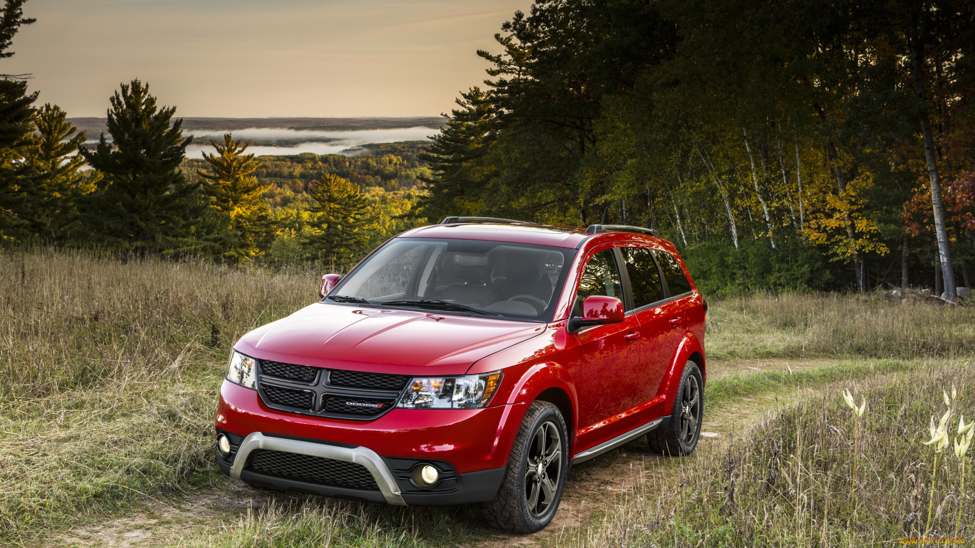 2014, dodge, journey, crossroad, автомобили, dodge, кроссовер, crossroad, дорога, лес, красный, journey