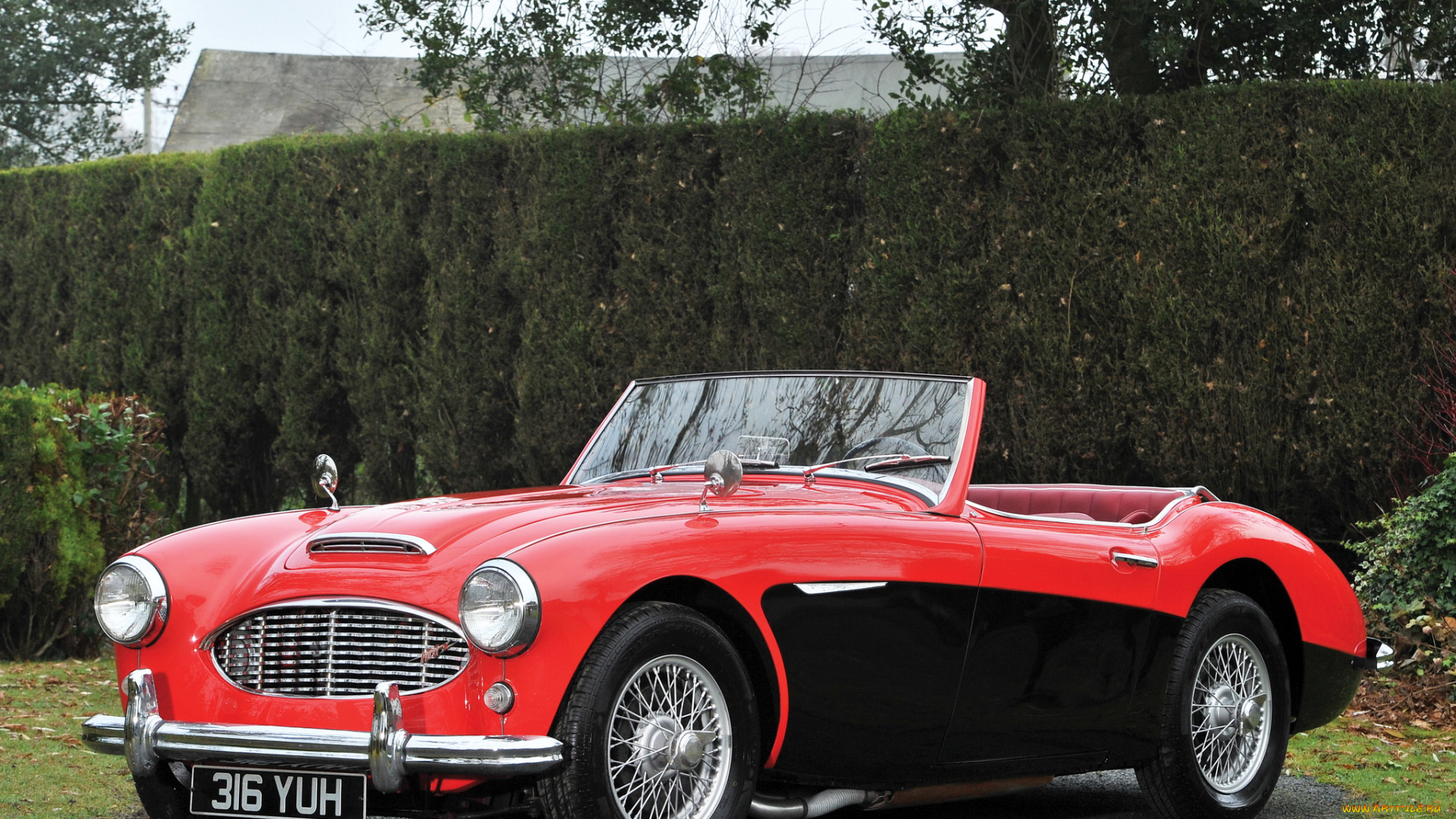 автомобили, austin, austin-healy, 1957г, 100, austin-healey