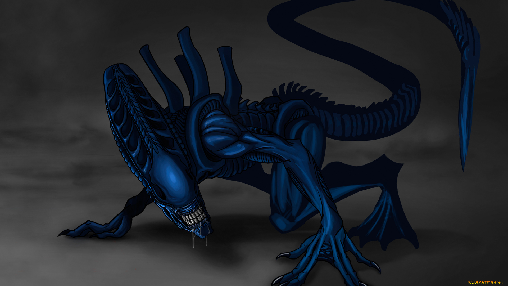 Чужой, фэнтези, существа, существо, alien, чужой