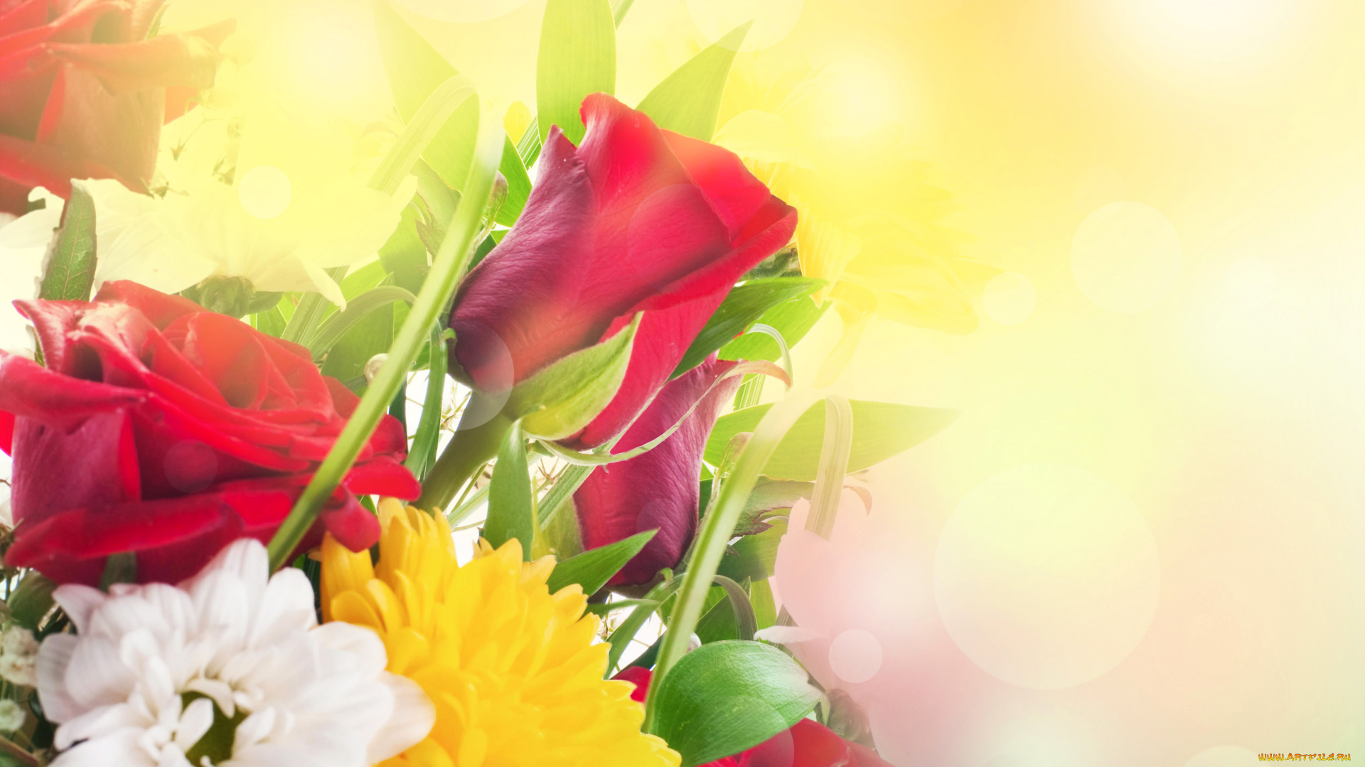 цветы, букеты, , композиции, букет, хризантемы, розы