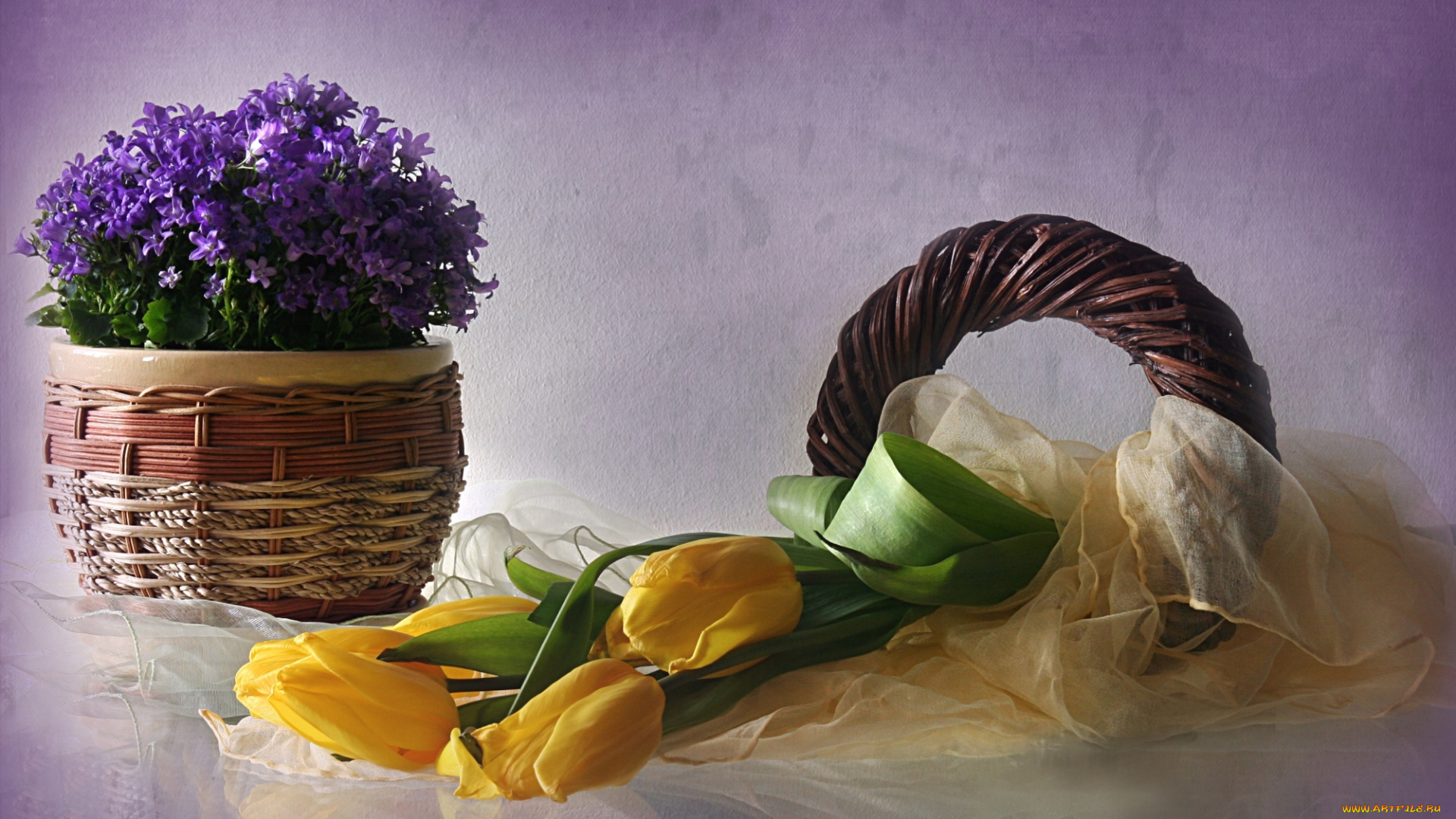 цветы, разные, вместе, колокольчики, тюльпаны