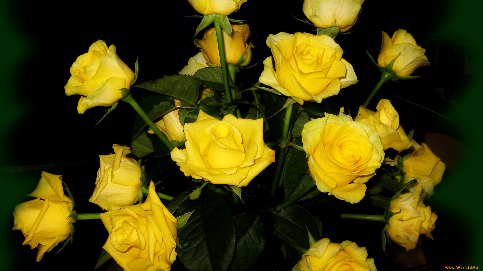 цветы, розы, желтые, букет