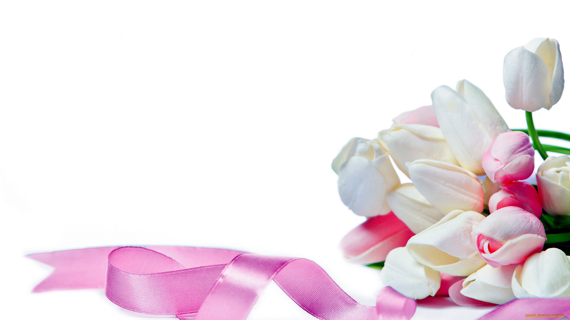цветы, тюльпаны, лента, белый, розовый