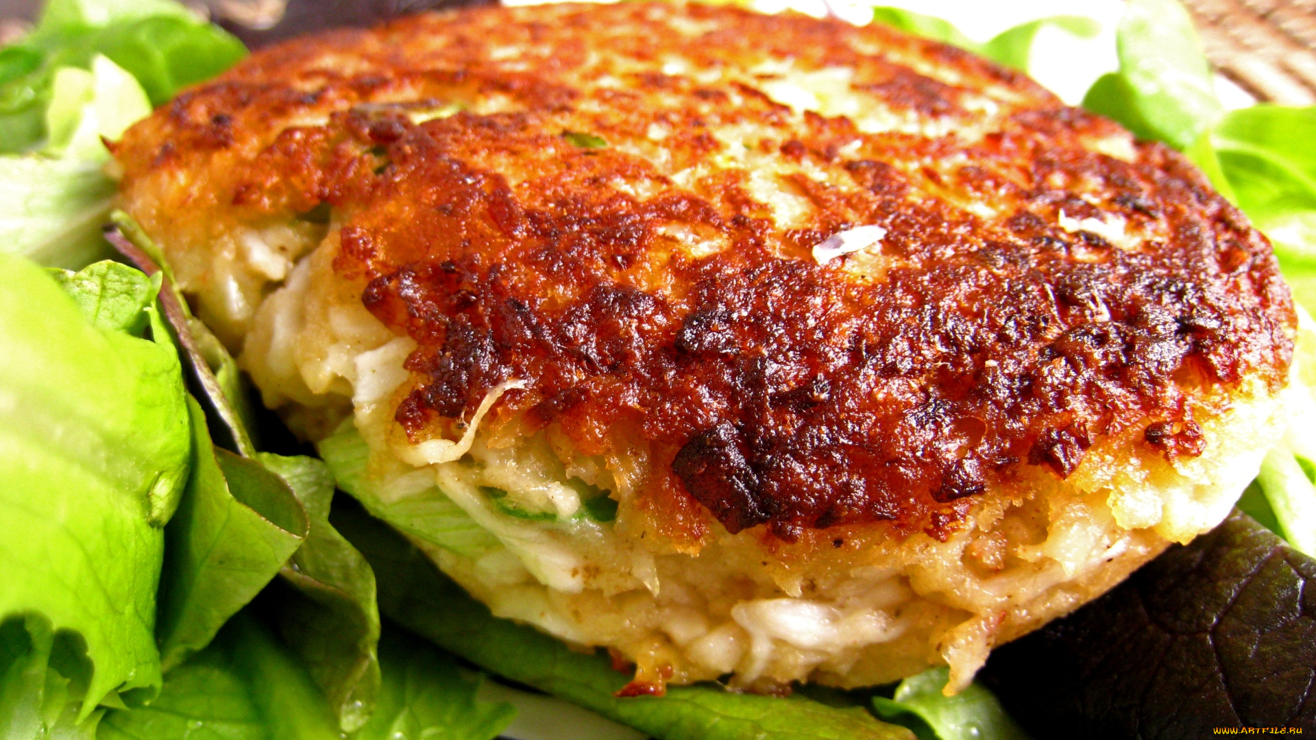 еда, мясные, блюда, котлета, зелень, мясная