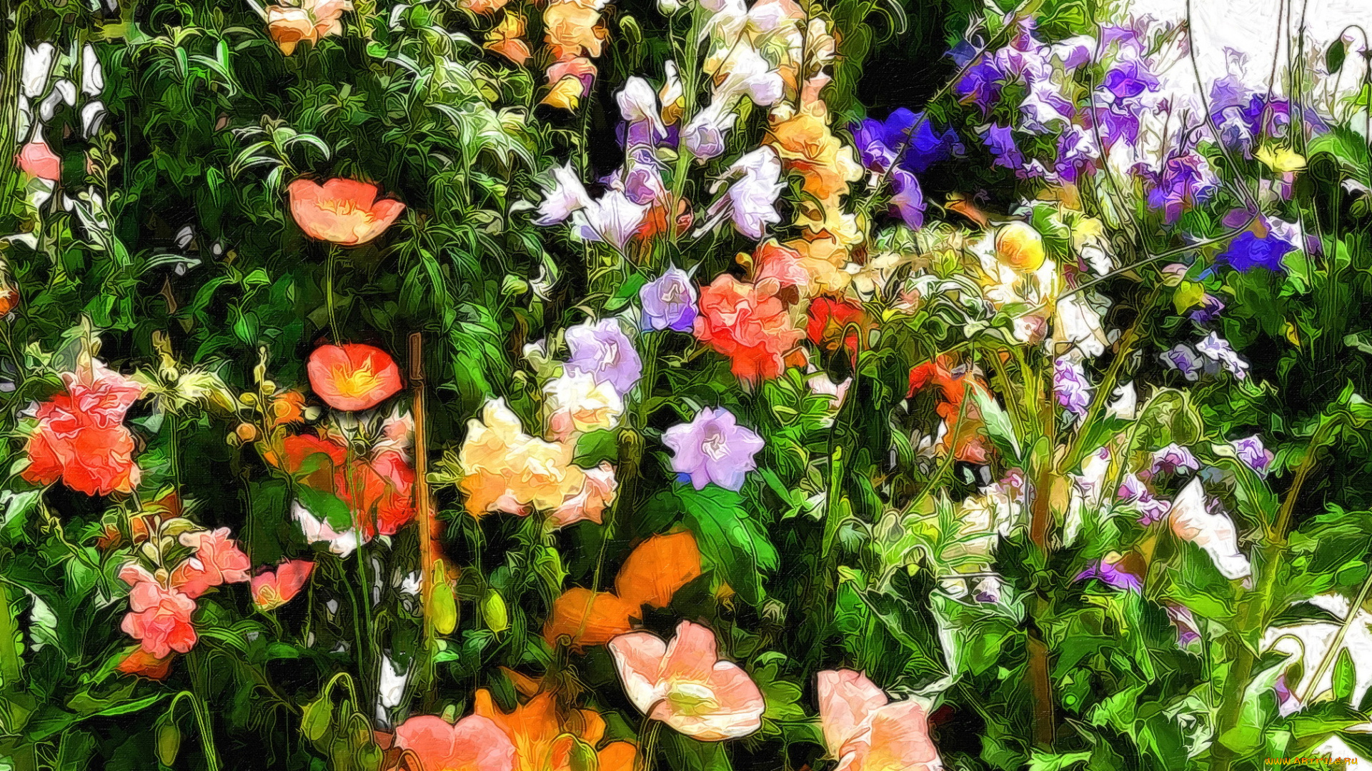 разное, компьютерный, дизайн, цветы, вмести, разные