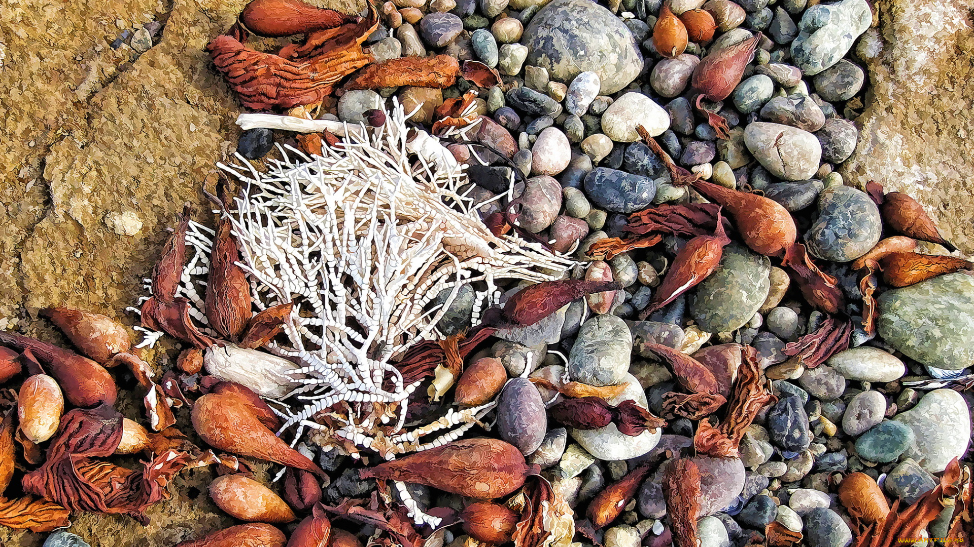 разное, компьютерный, дизайн, песок, камни