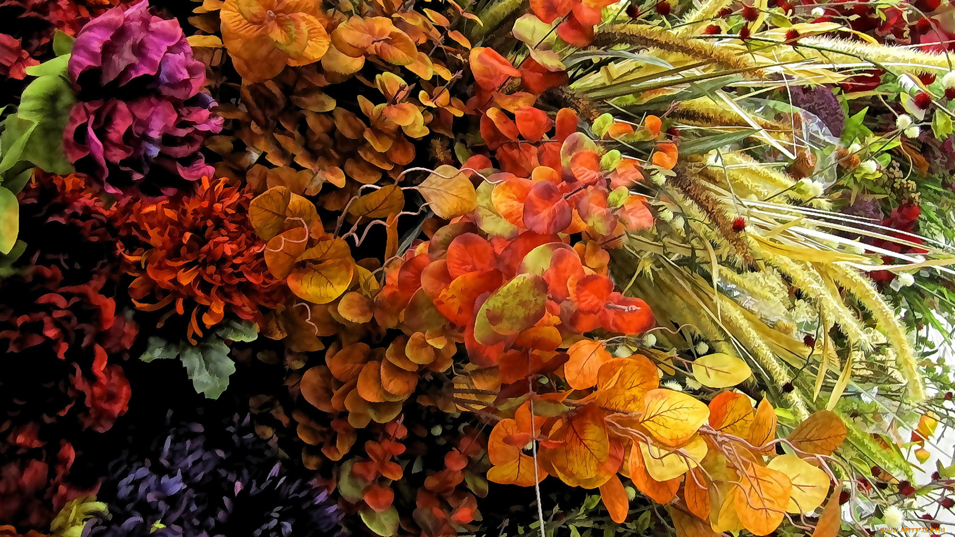 разное, компьютерный, дизайн, разные, вместе, цветы