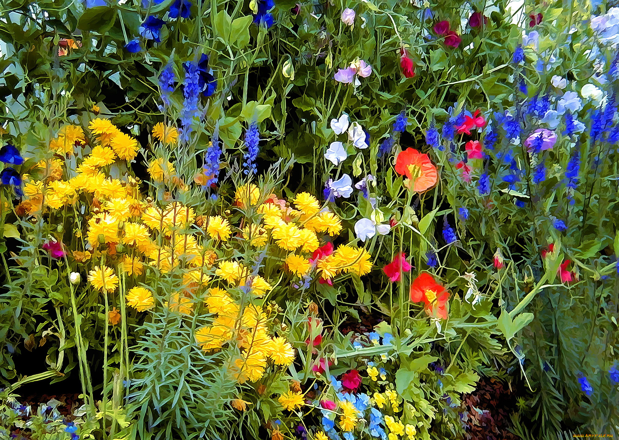 разное, компьютерный, дизайн, разные, цветы