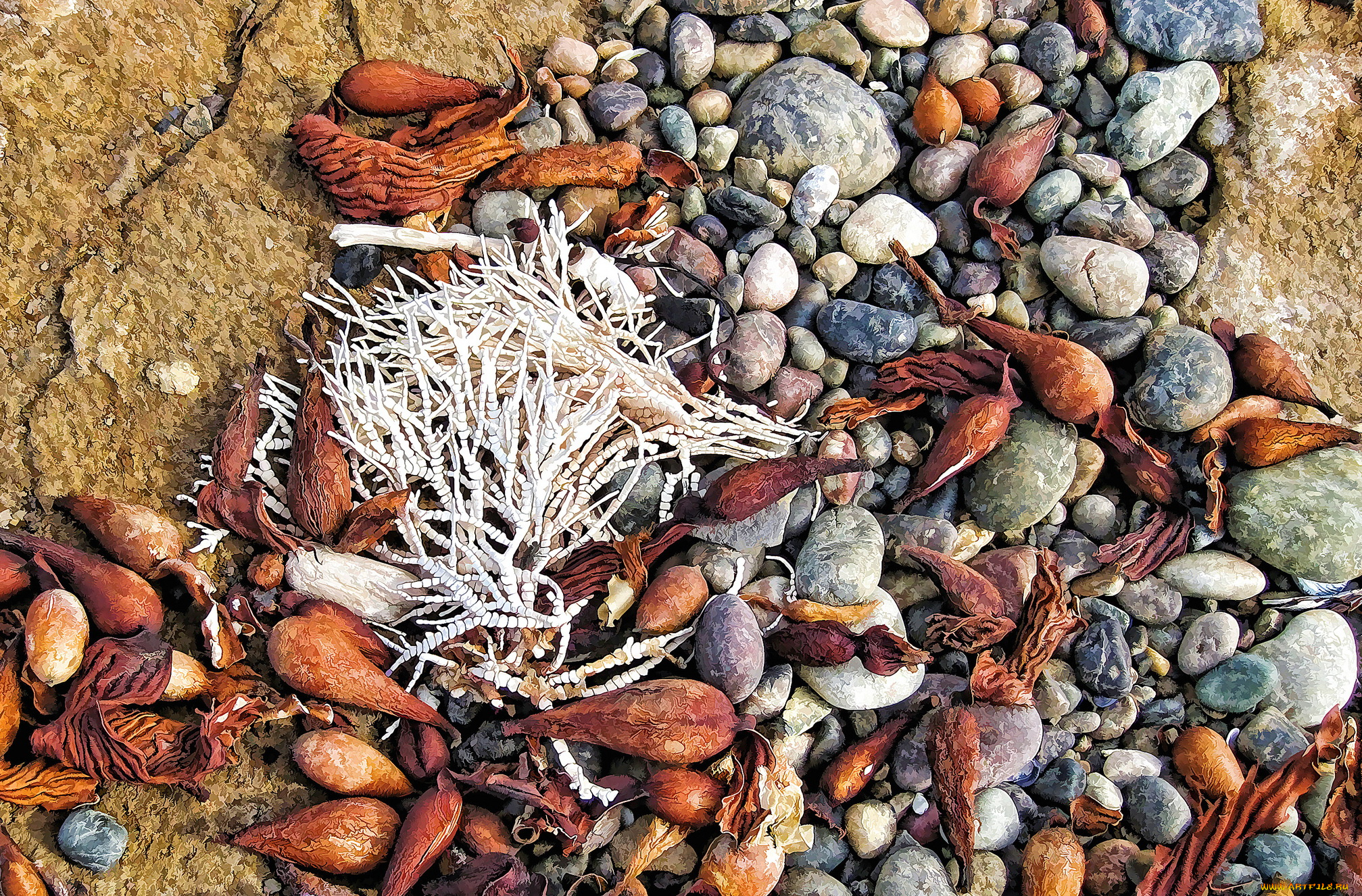 разное, компьютерный, дизайн, песок, камни