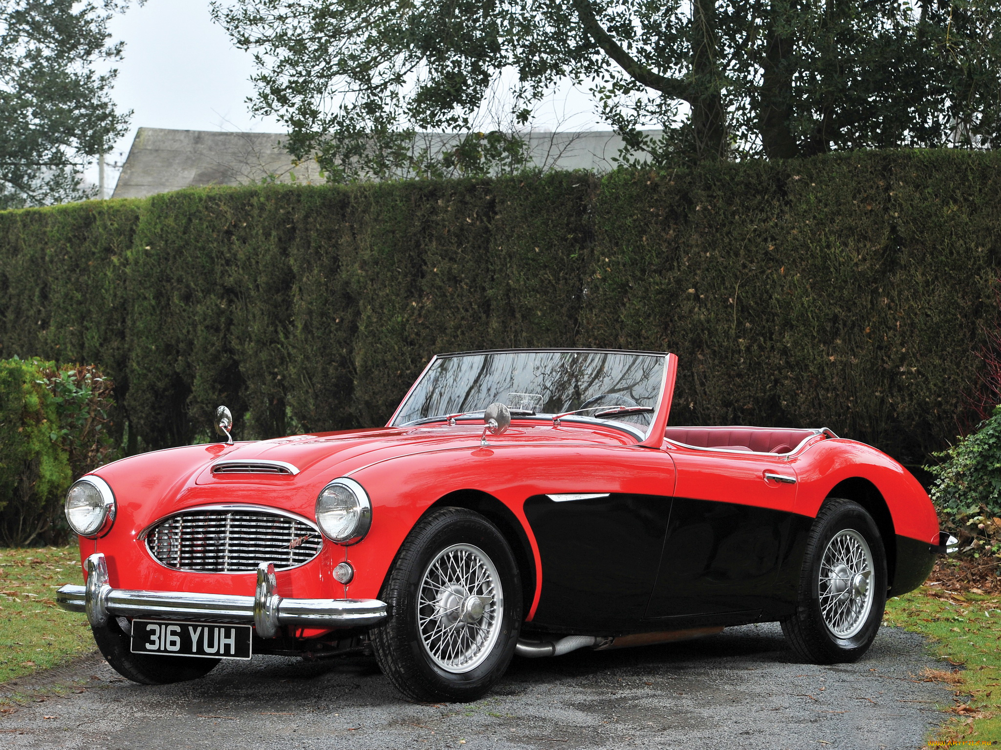 автомобили, austin, austin-healy, 1957г, 100, austin-healey
