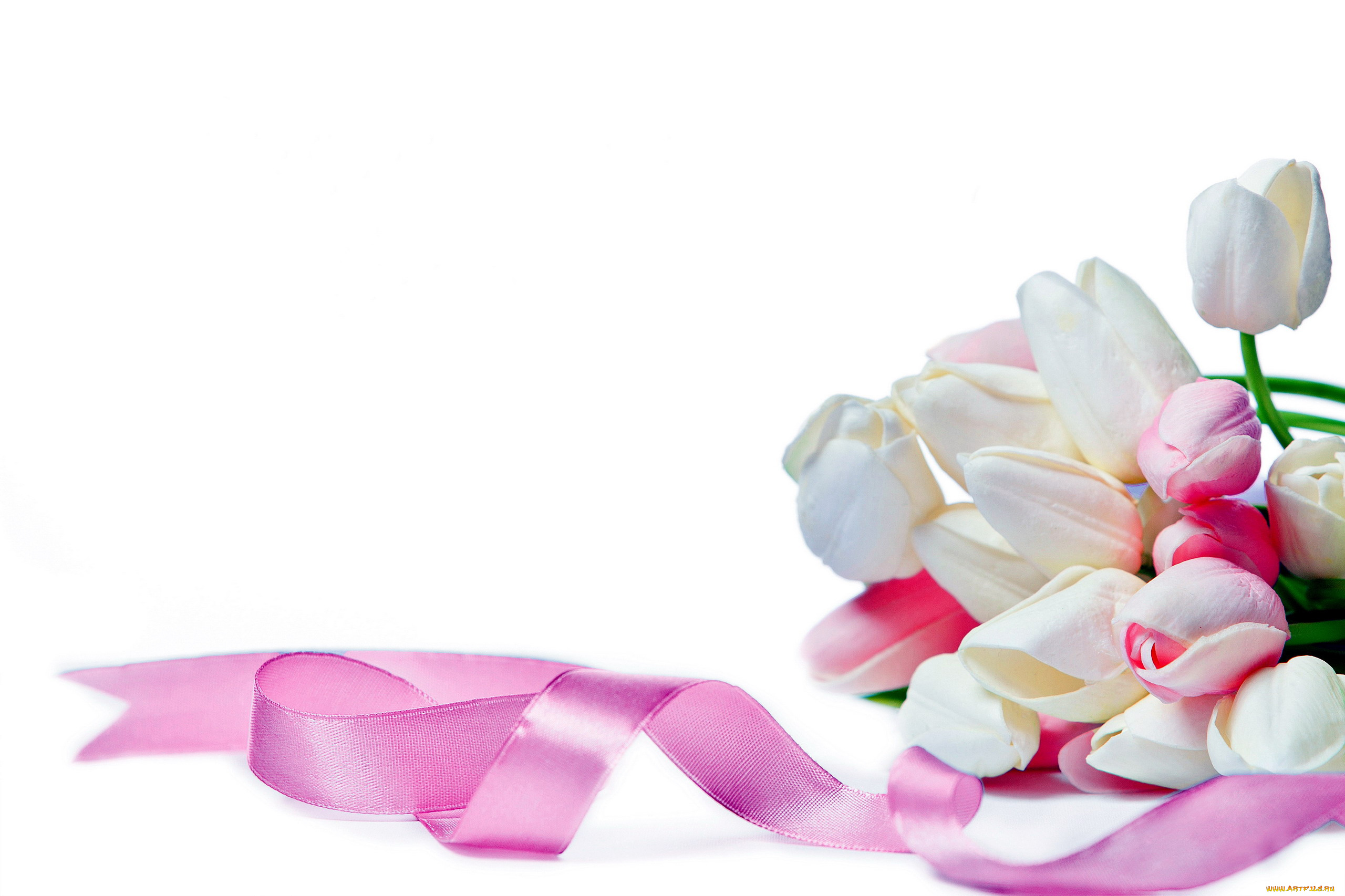 цветы, тюльпаны, лента, белый, розовый