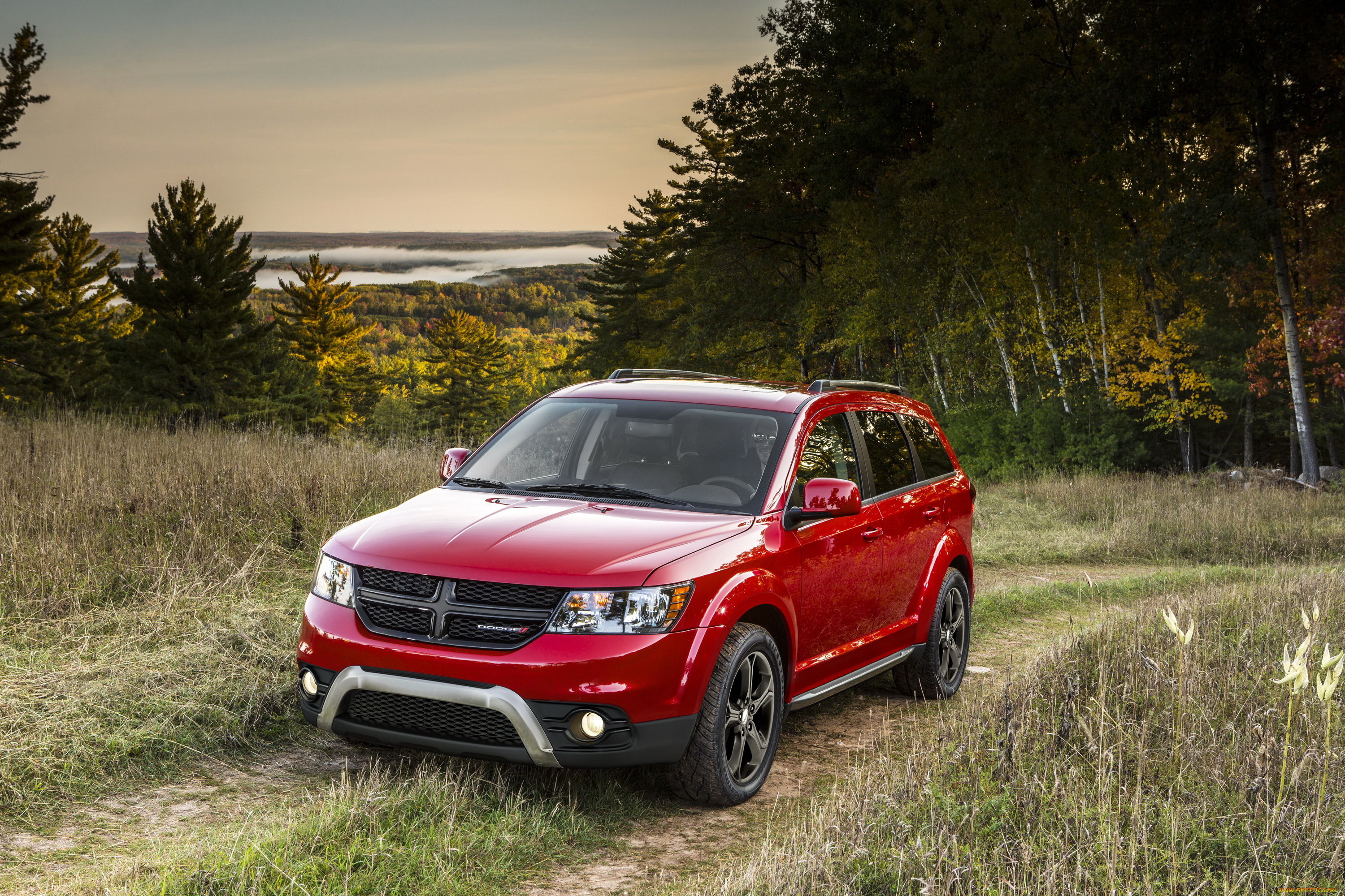 2014, dodge, journey, crossroad, автомобили, dodge, кроссовер, crossroad, дорога, лес, красный, journey