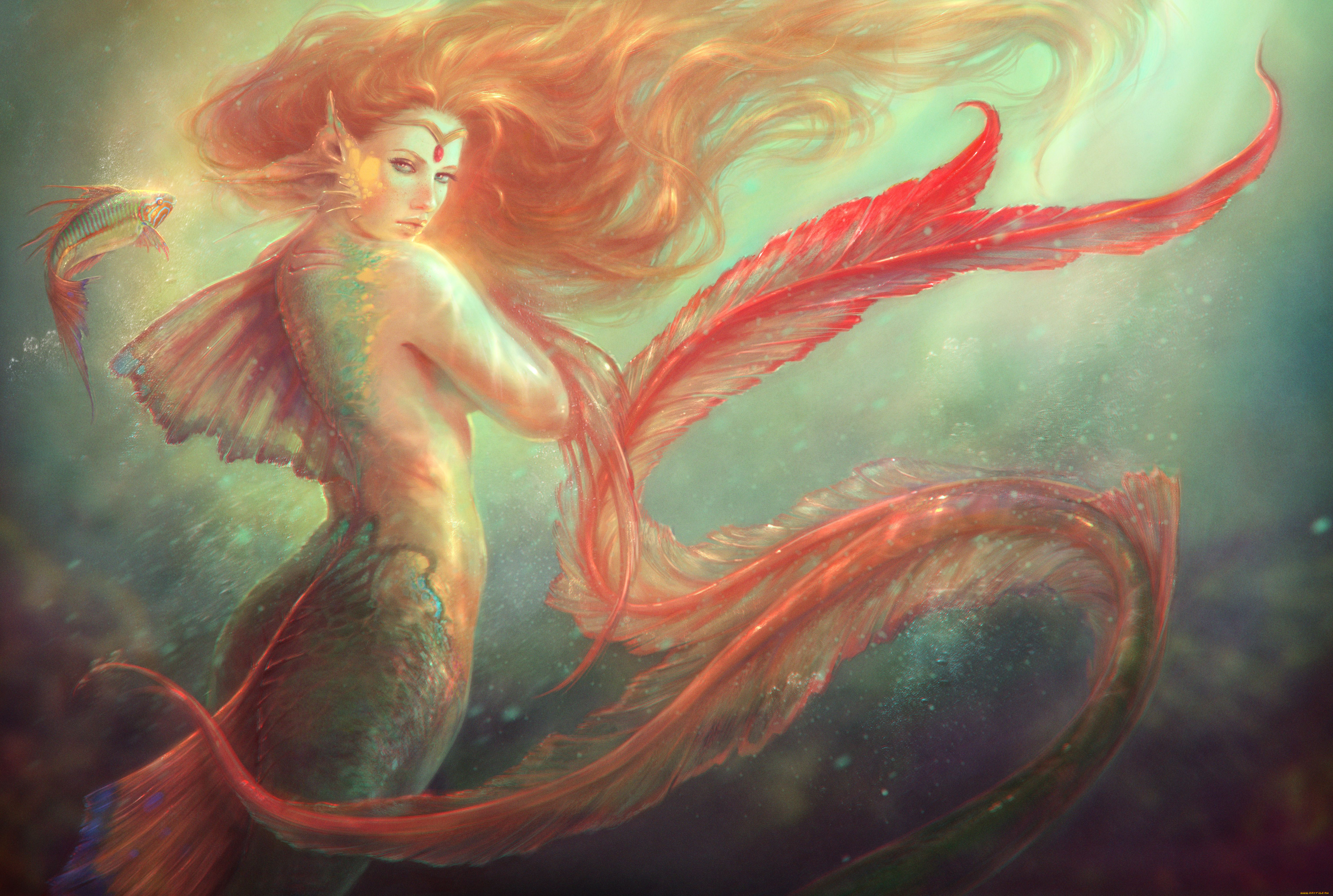 фэнтези, русалки, рыба, море, русалка, глубина