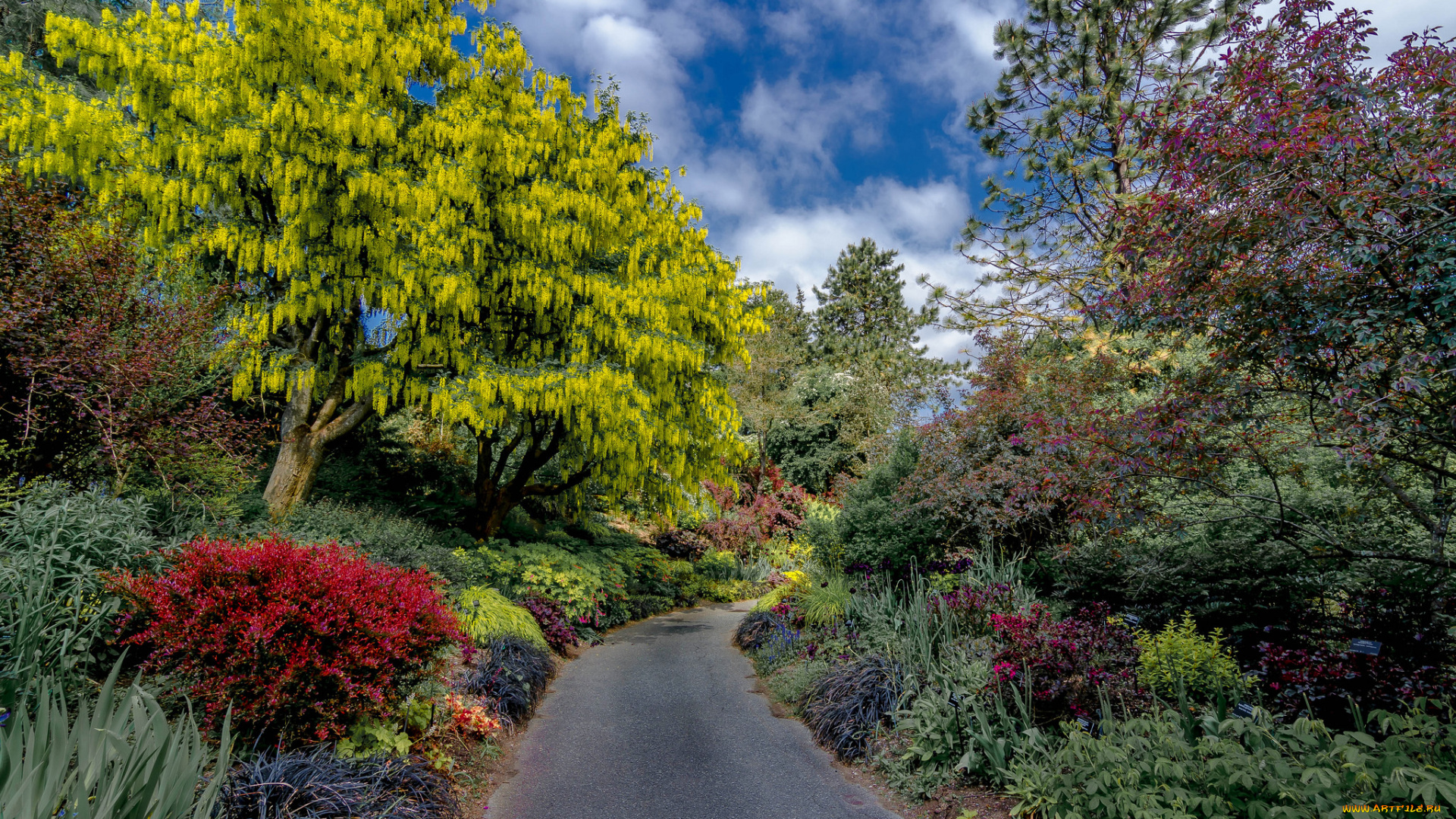 природа, дороги, дорожка, парк