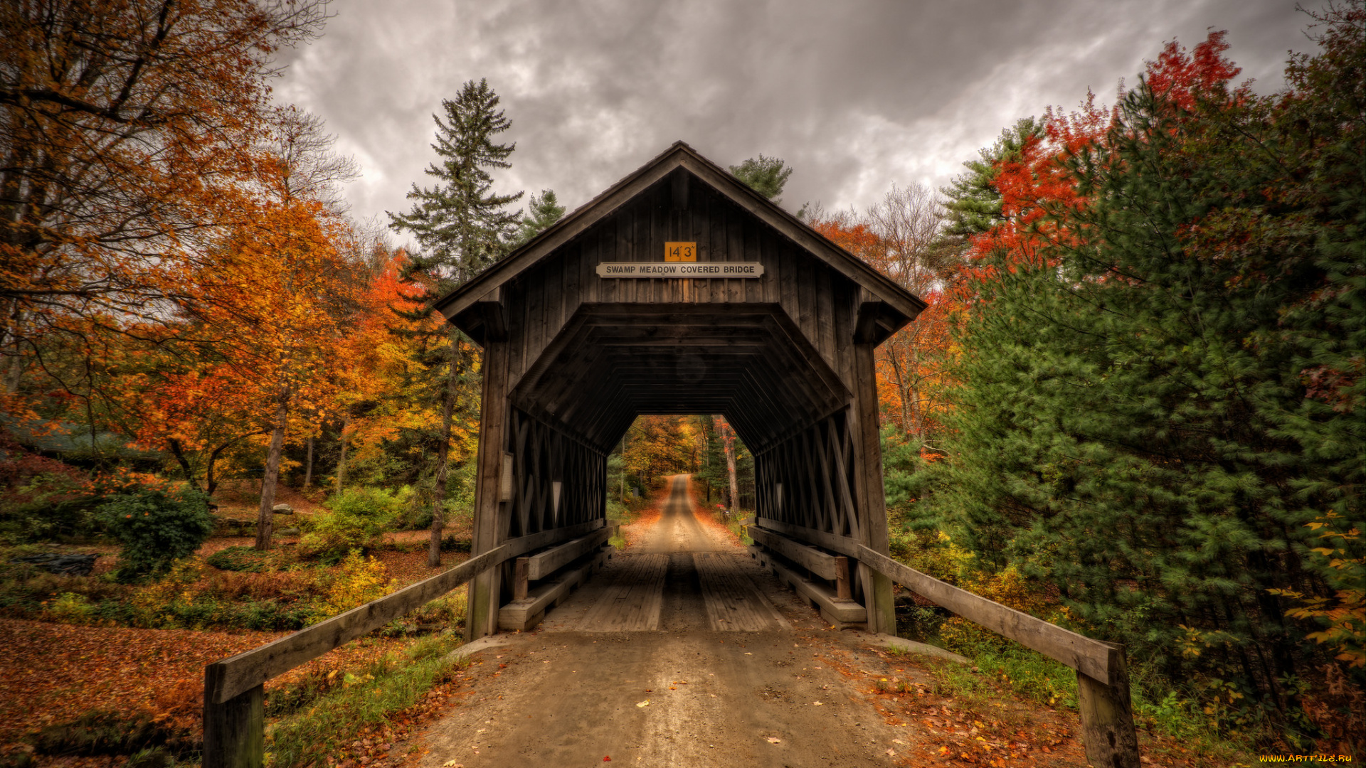 природа, дороги, тракт, лес, осень, мост