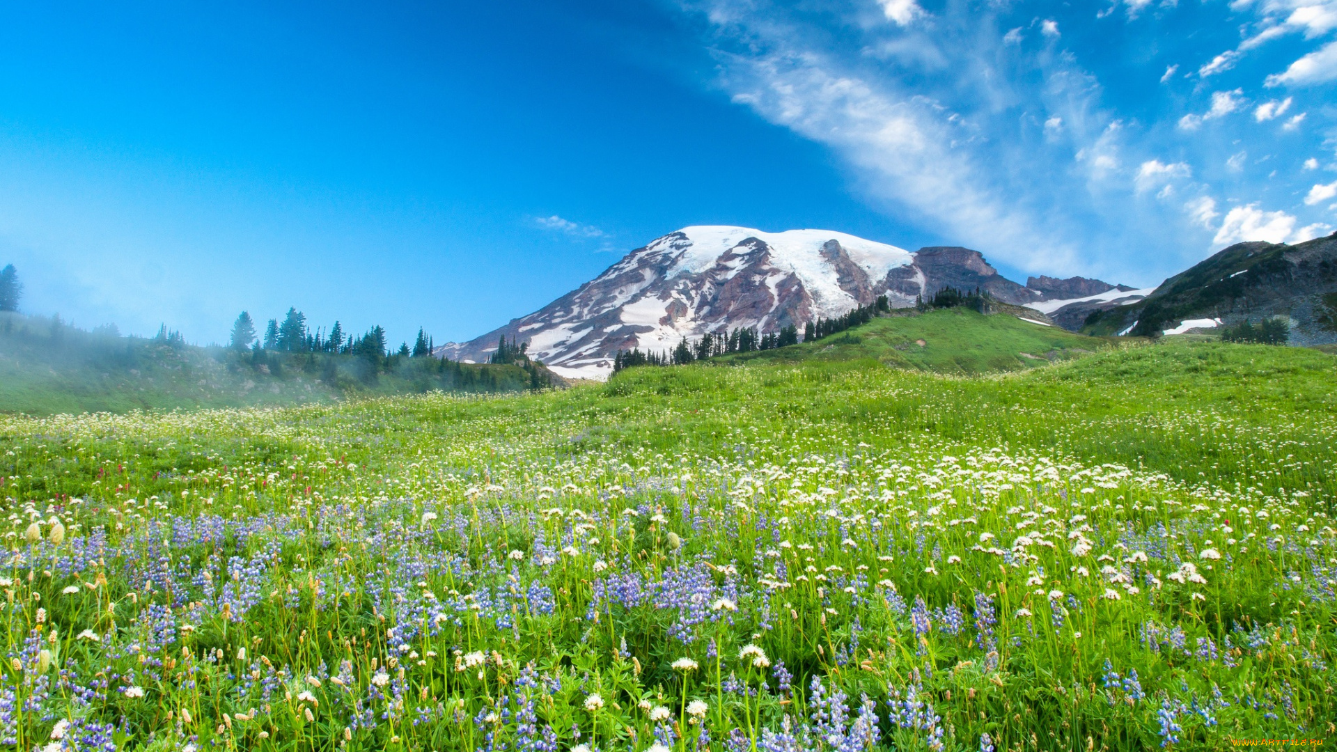 природа, луга, трава, горы, цветы