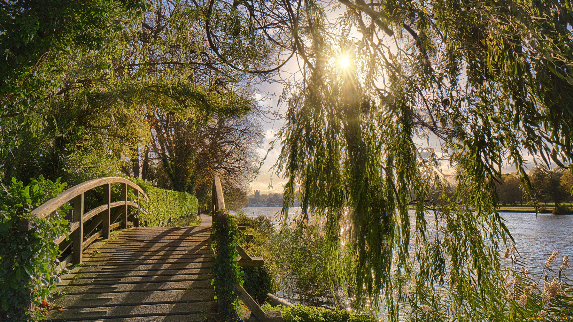 природа, пейзажи, лес, мостик, река