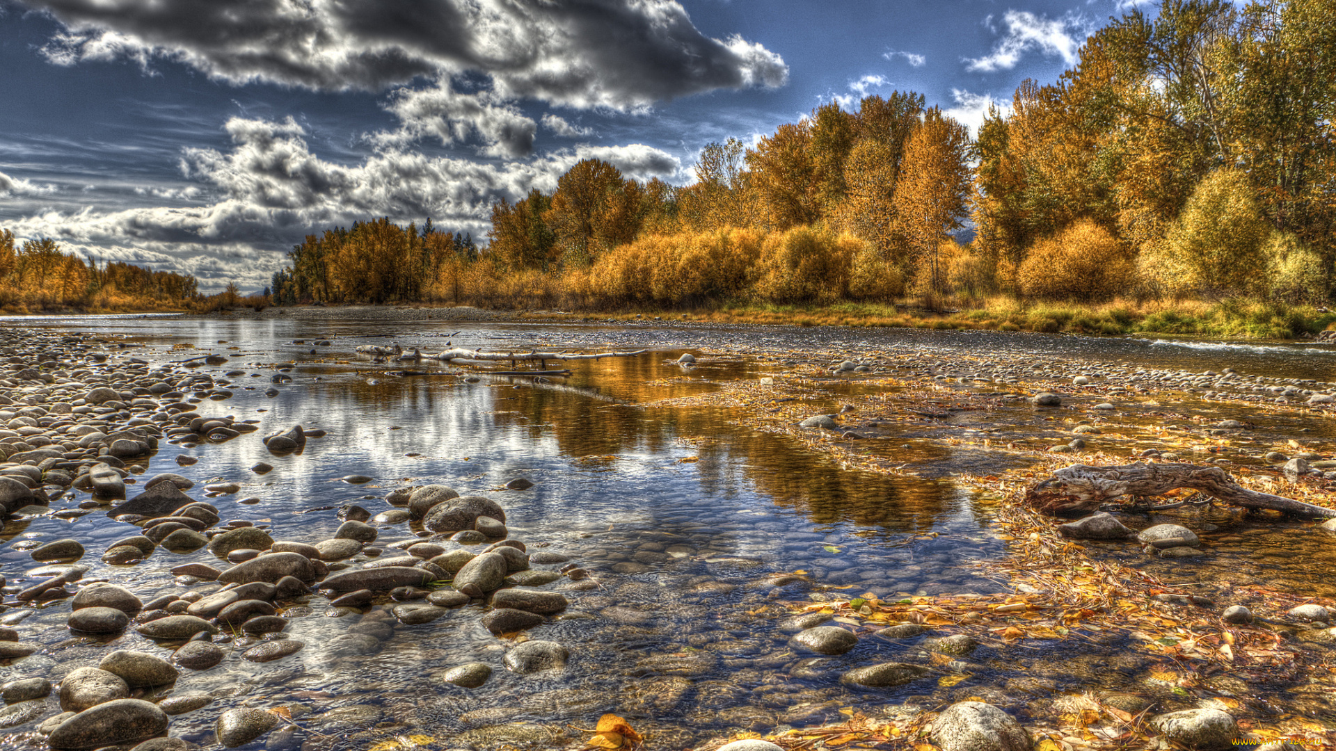 природа, реки, озера, лес, осень, река