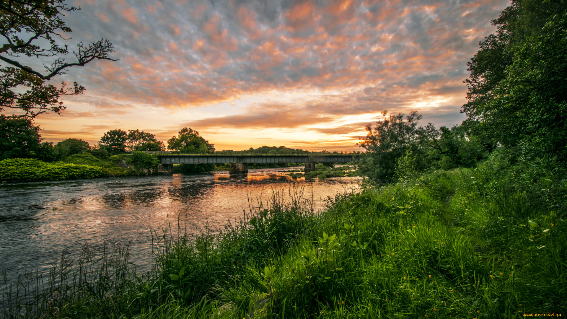 природа, реки, озера, луг, мост, река