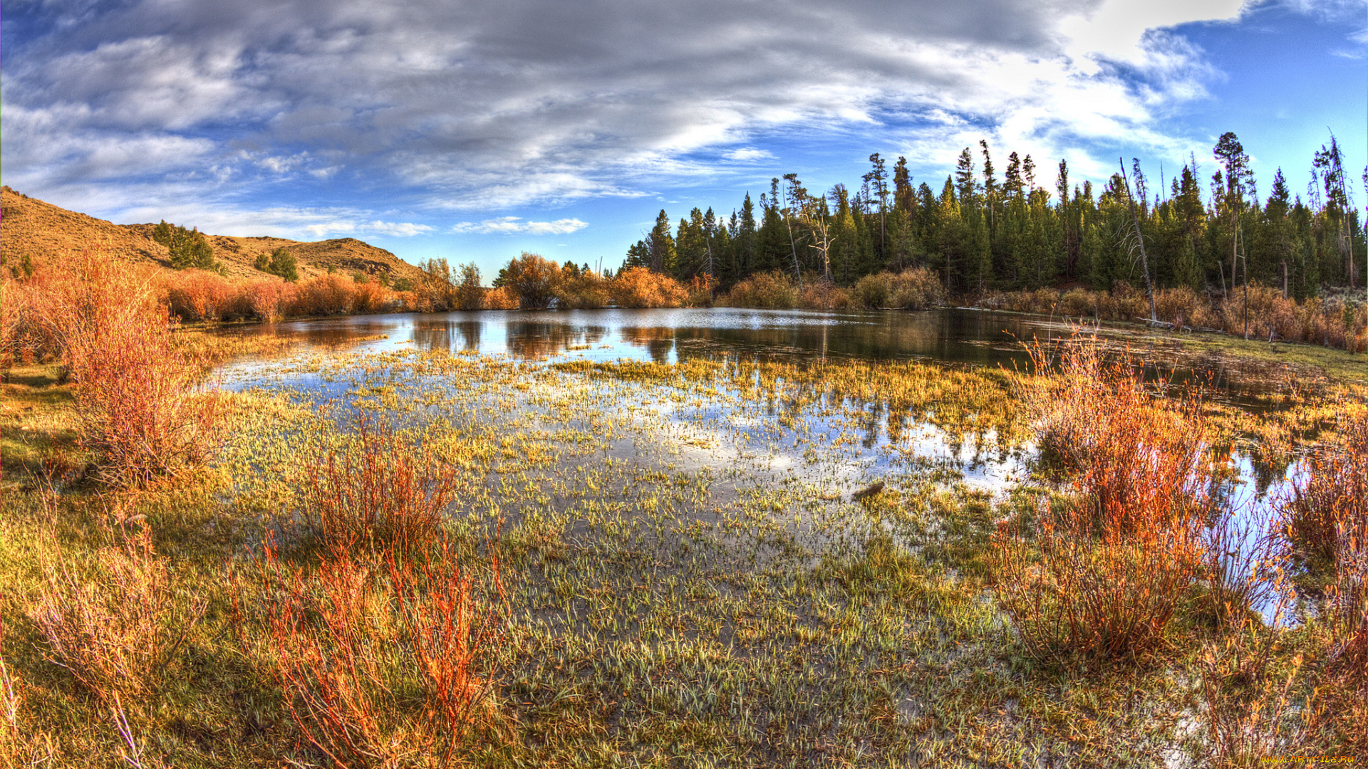 природа, реки, озера, река, лес, осень