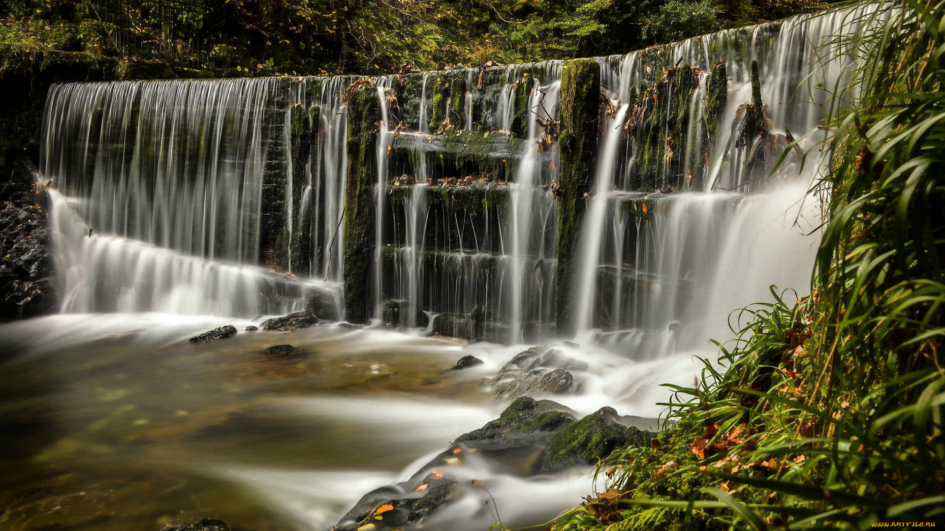 природа, водопады, лес, england, каскад, водопад, англия, озёрный, край, лейк-дистрикт, lake, district, stock, ghyll, falls, ambleside