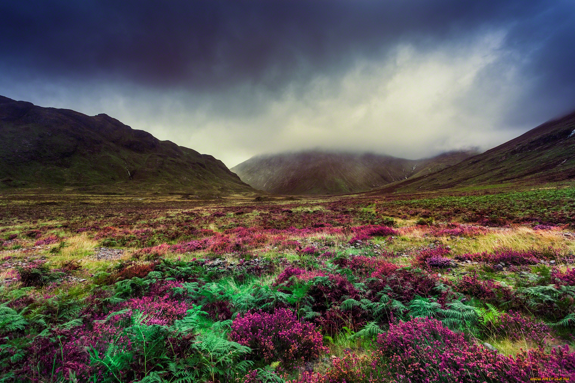 природа, луга, горы, тучи, трава, равнина