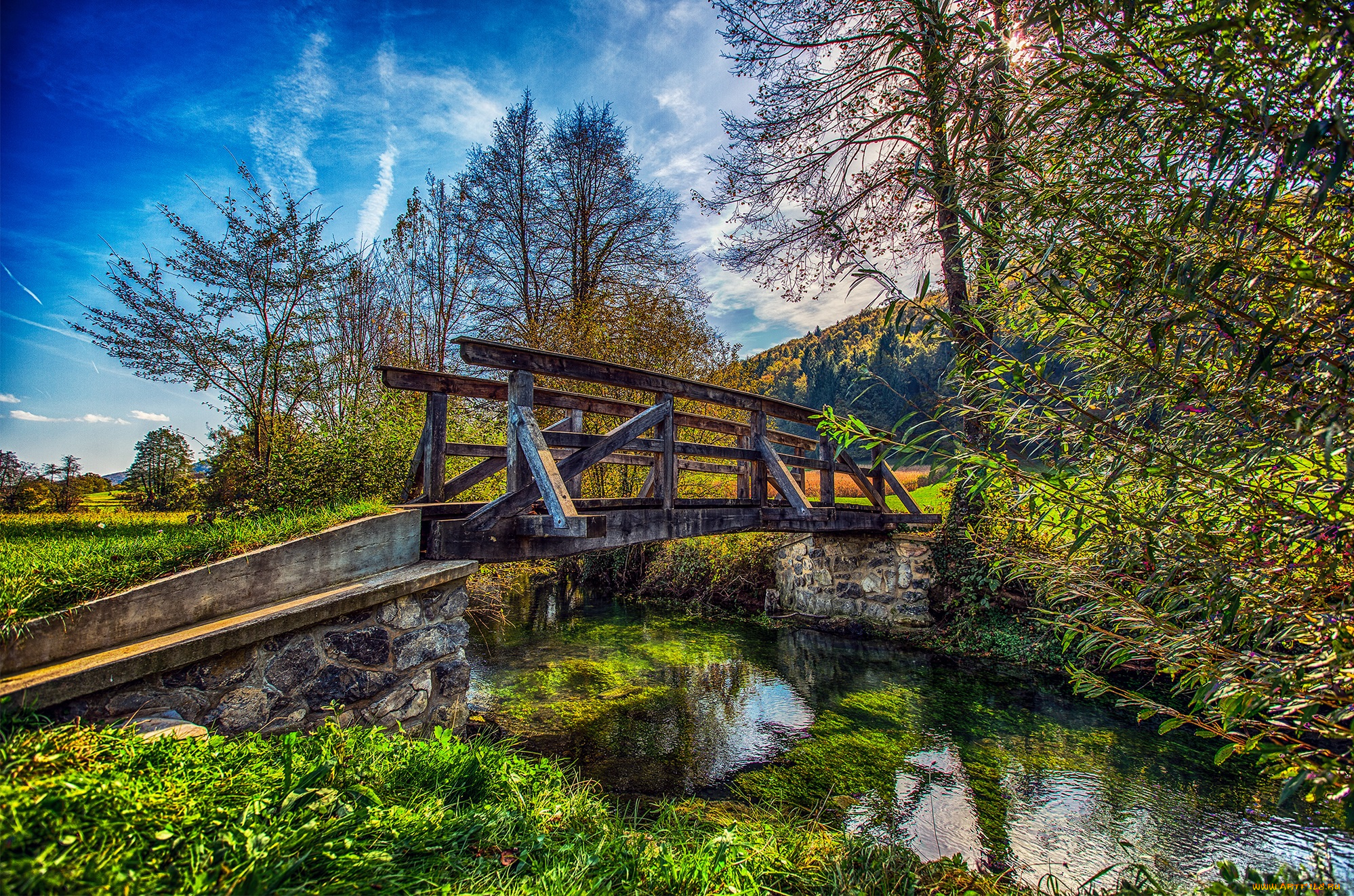 природа, реки, озера, мостик, растительность, речка