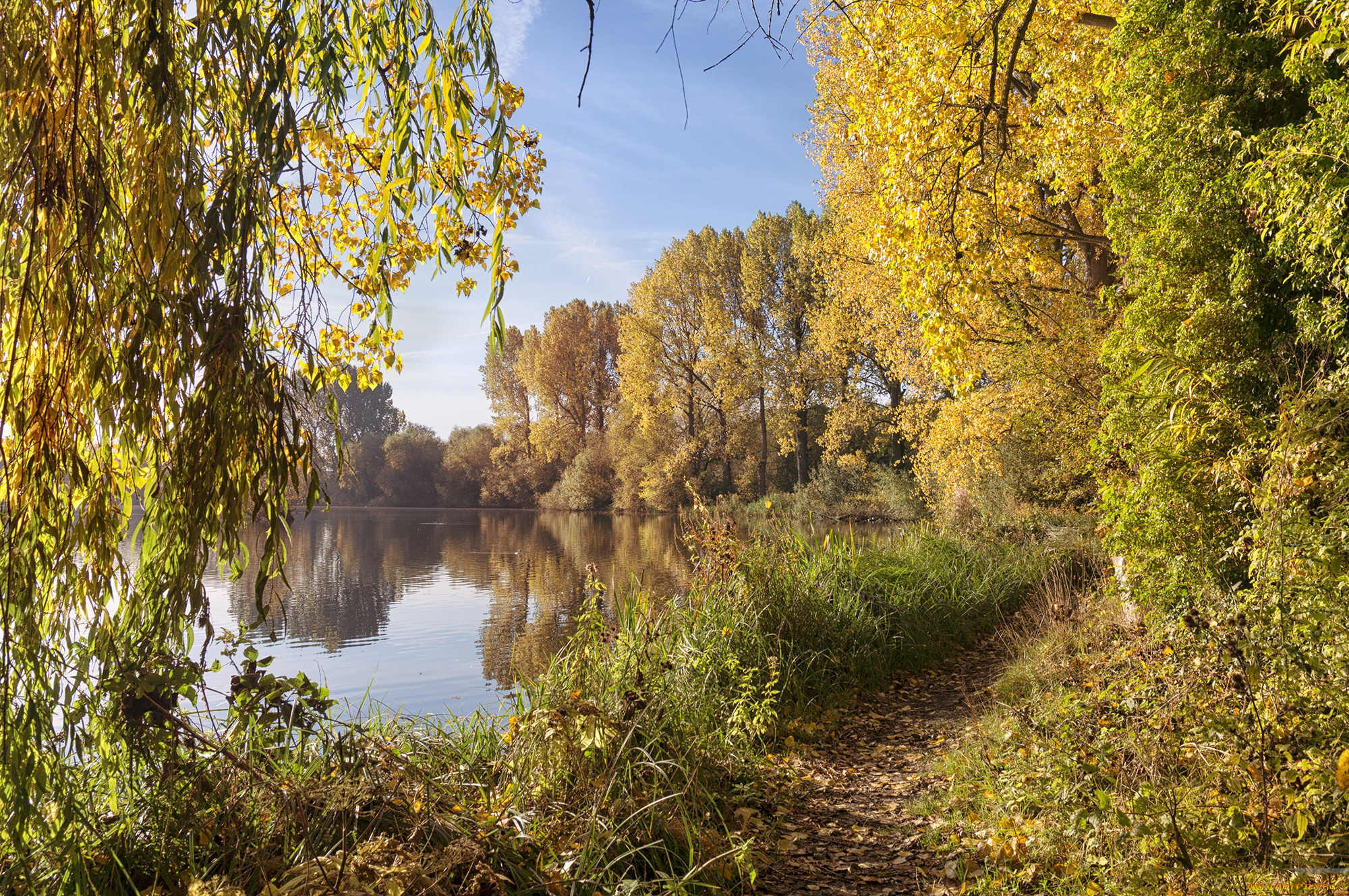 природа, реки, озера, река, лес, осень