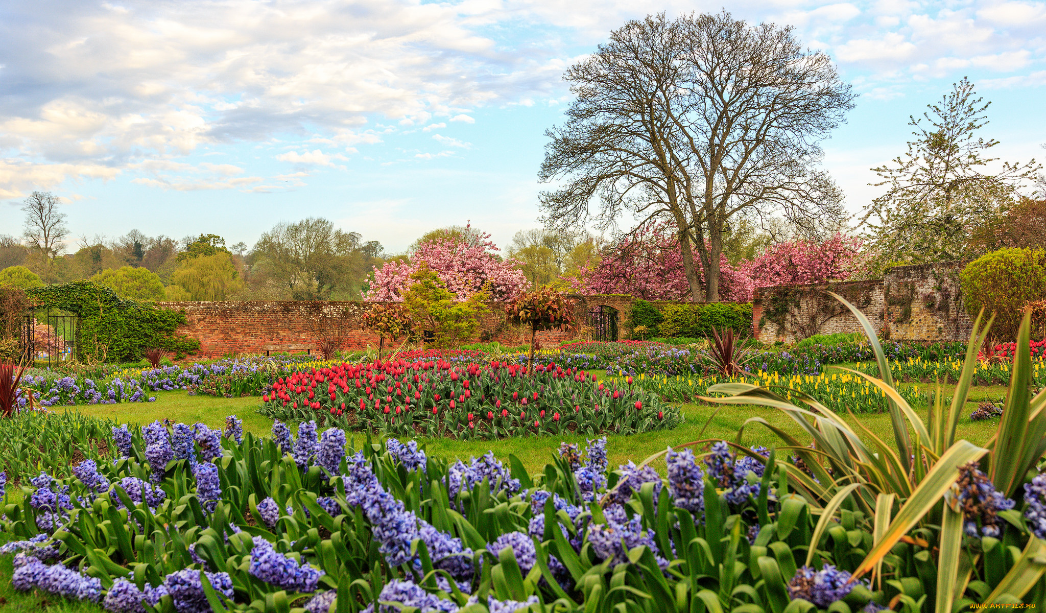 природа, парк, цветы, клумбы, деревья