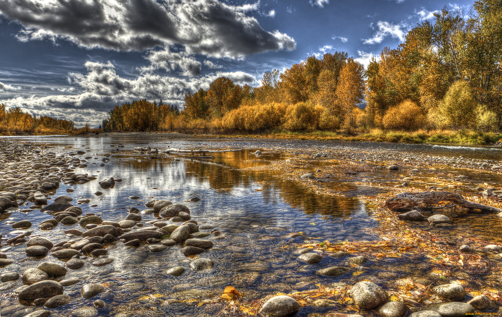 природа, реки, озера, лес, осень, река