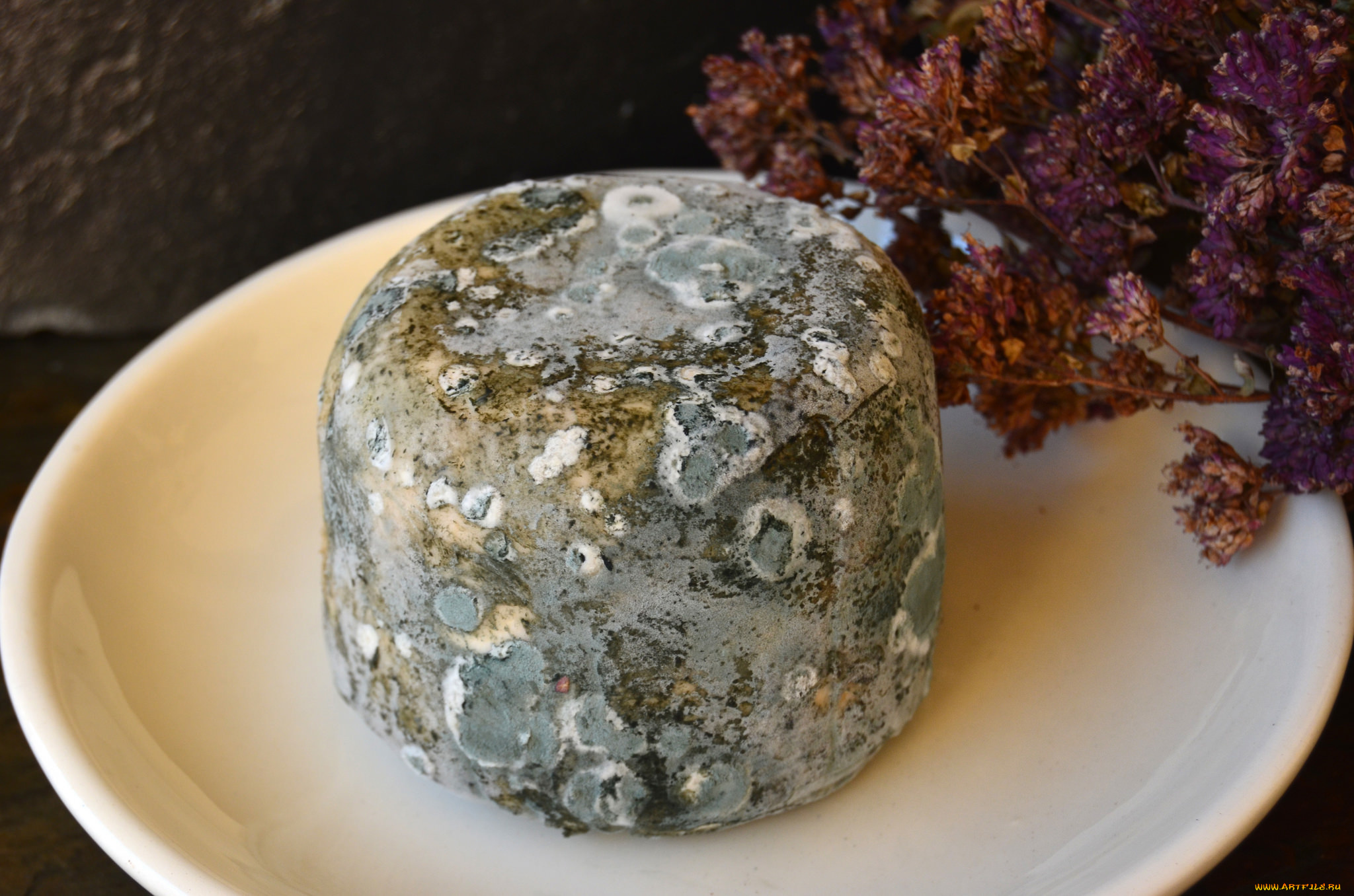 r&, 237, o, vero, de, moho, azul, еда, сырные, изделия, сыр