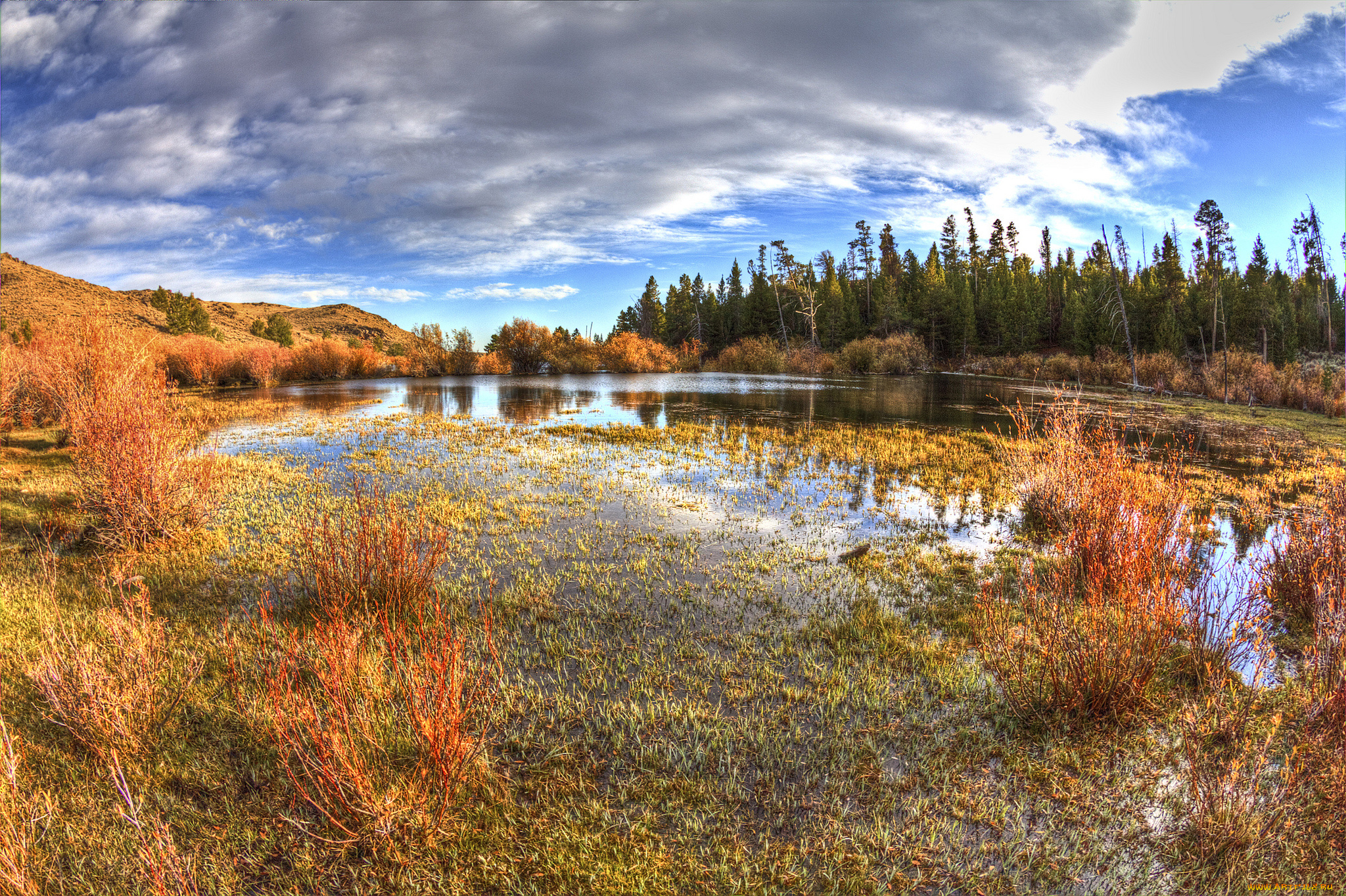 природа, реки, озера, река, лес, осень
