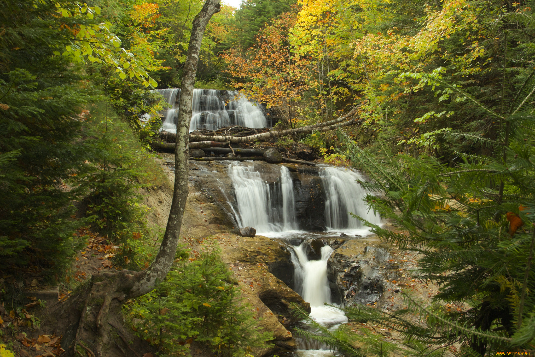 природа, водопады, лес, водопад, река