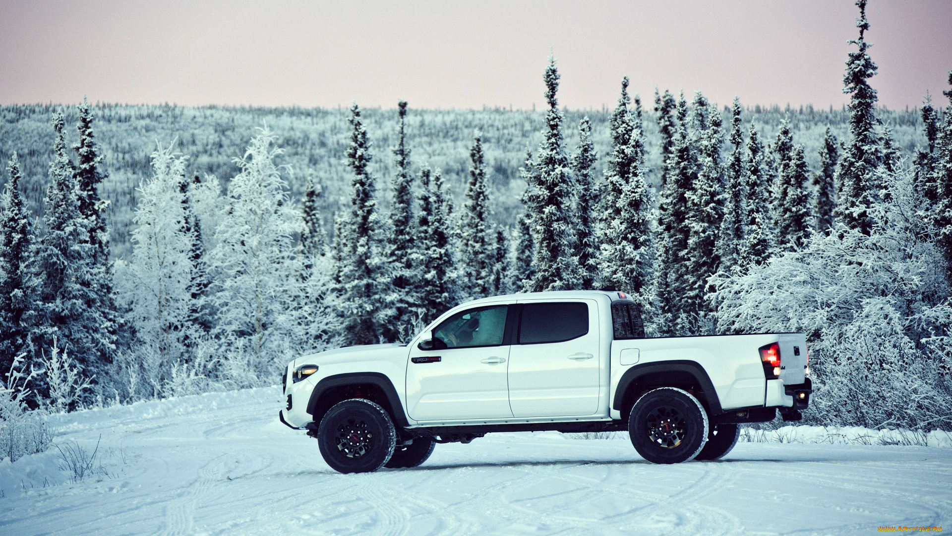 автомобили, toyota, pro, trd, tacoma, cab, double, 2017г