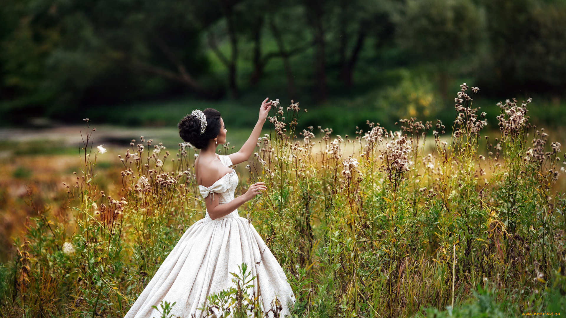 девушки, -unsort, , брюнетки, , шатенки, луг, фон, взгляд, девушка