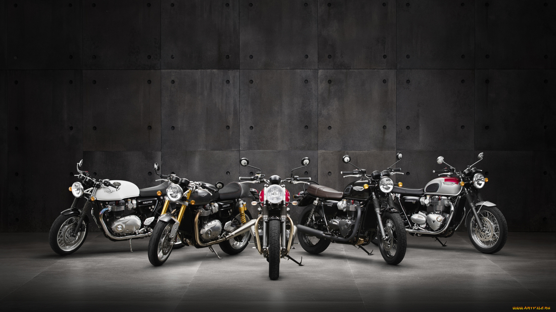 мотоциклы, triumph
