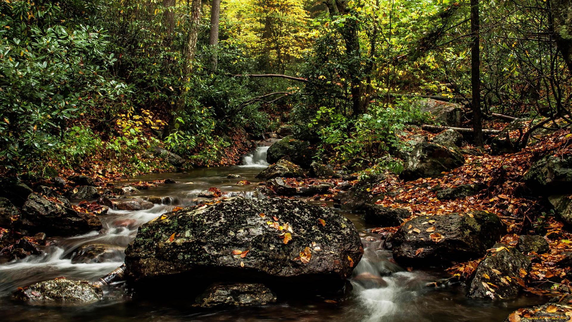 природа, реки, озера, камни, осень, река, лес