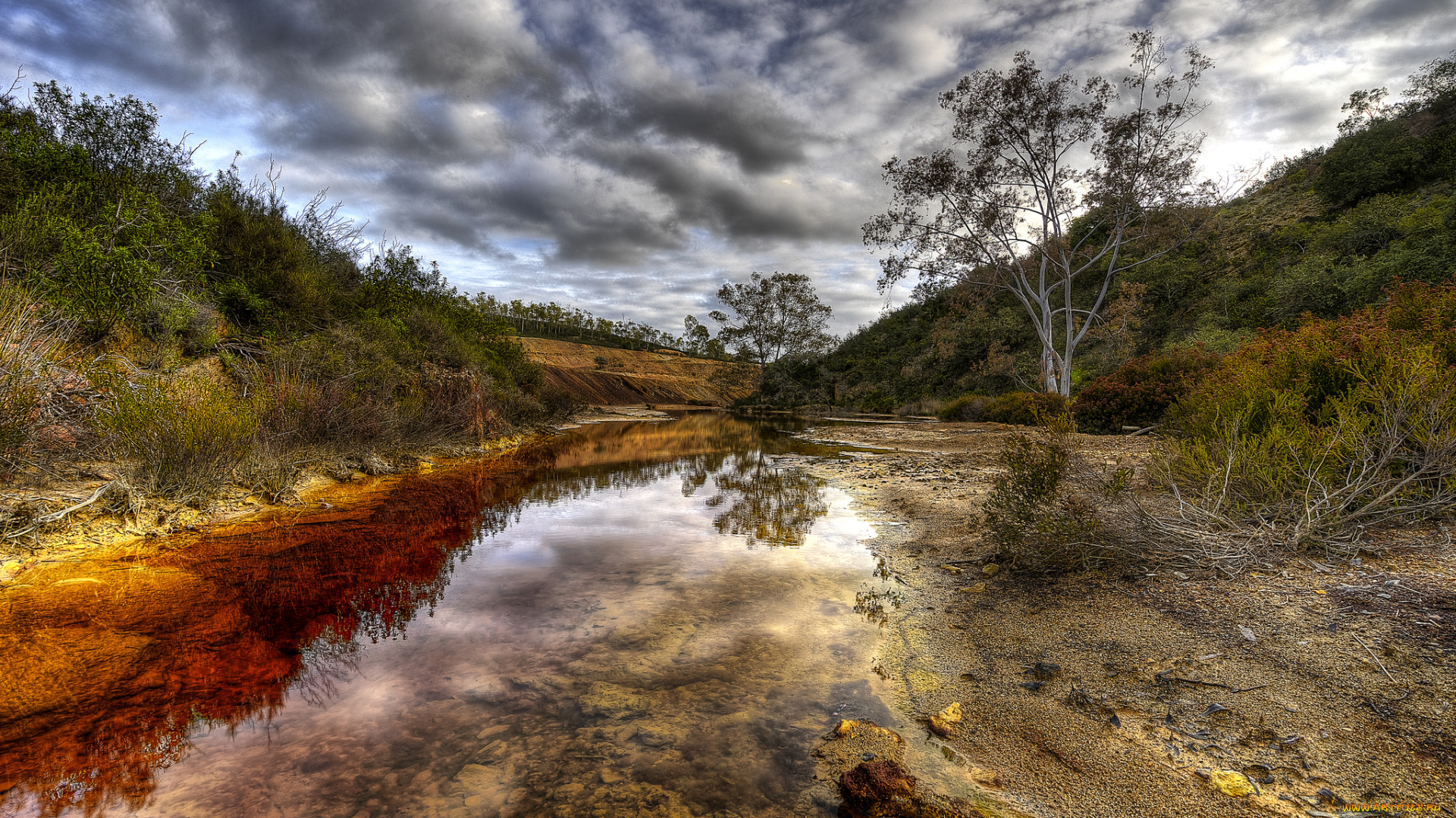 природа, реки, озера, река, лес