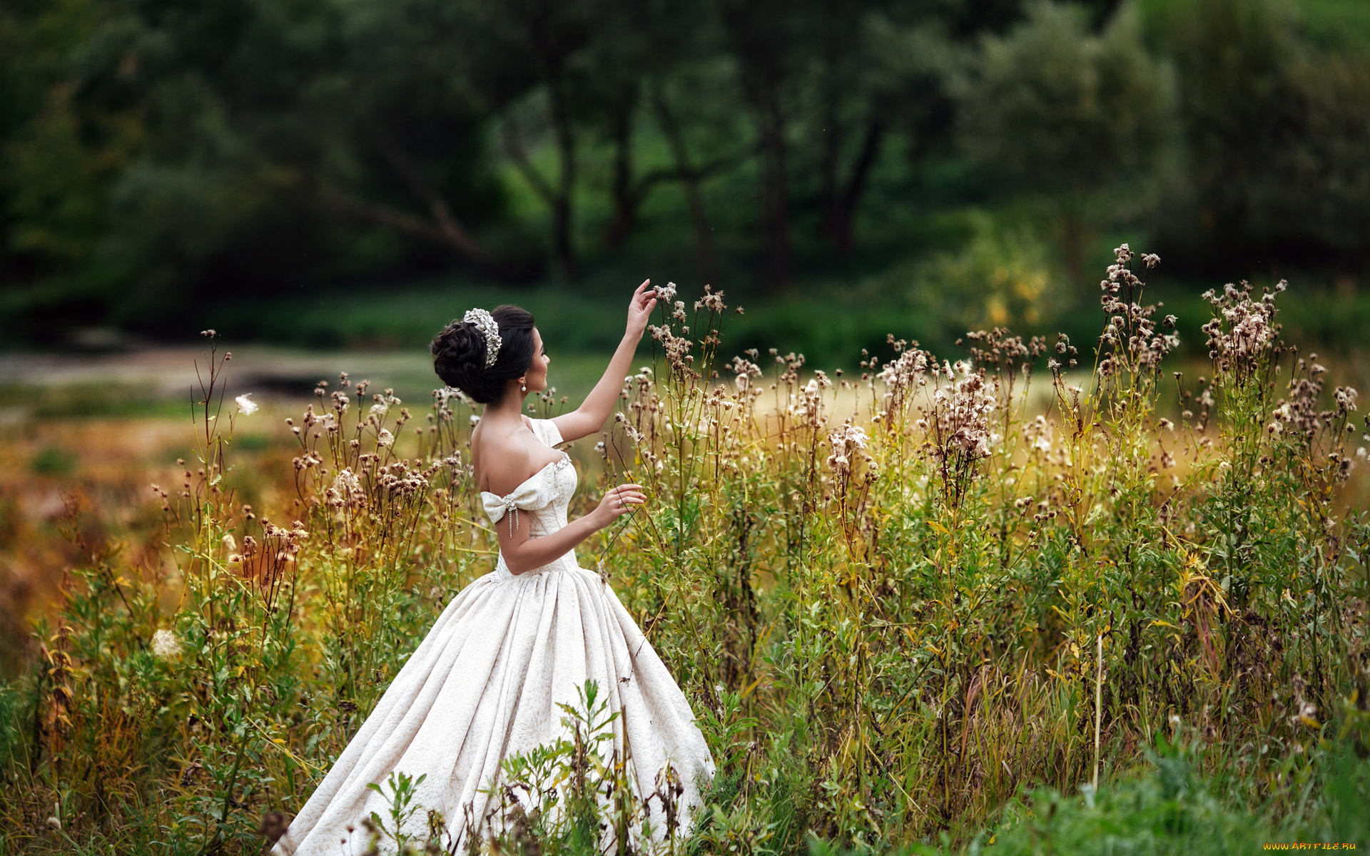 девушки, -unsort, , брюнетки, , шатенки, луг, фон, взгляд, девушка