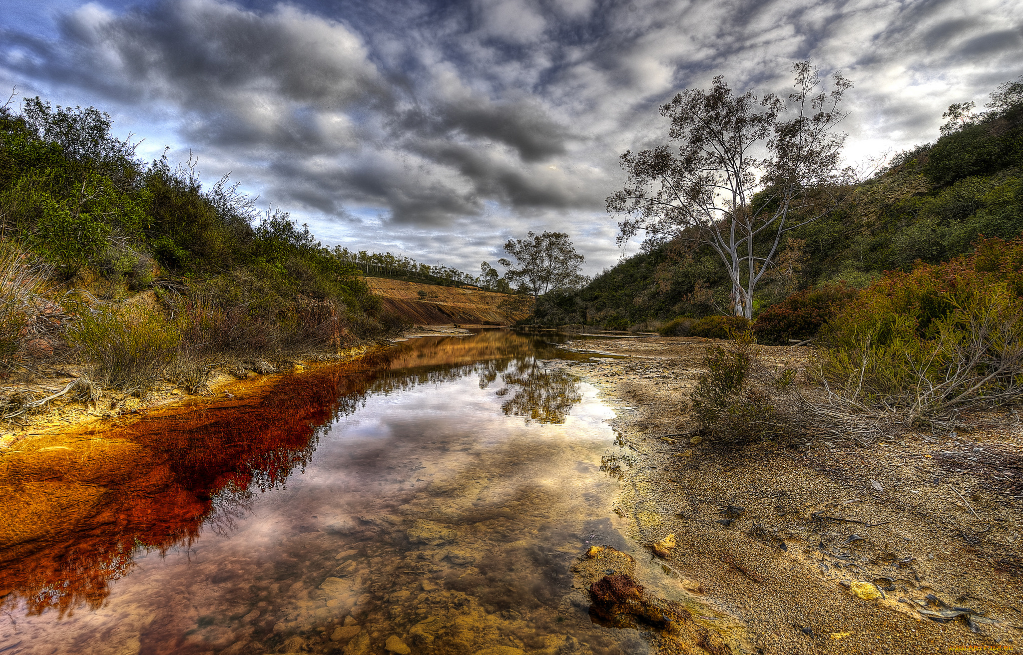 природа, реки, озера, река, лес