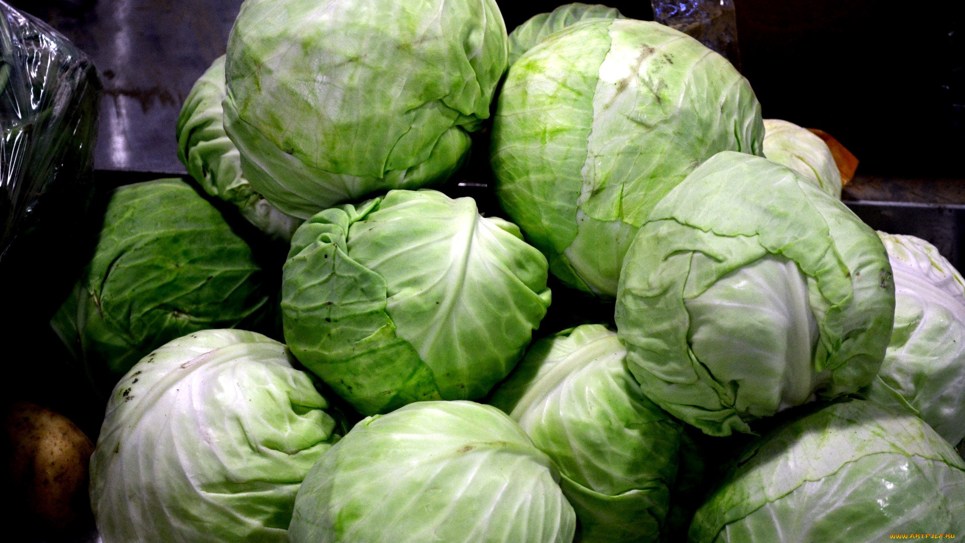 еда, капуста, и, её, разновидности, кочаны, капуста, белокочанная